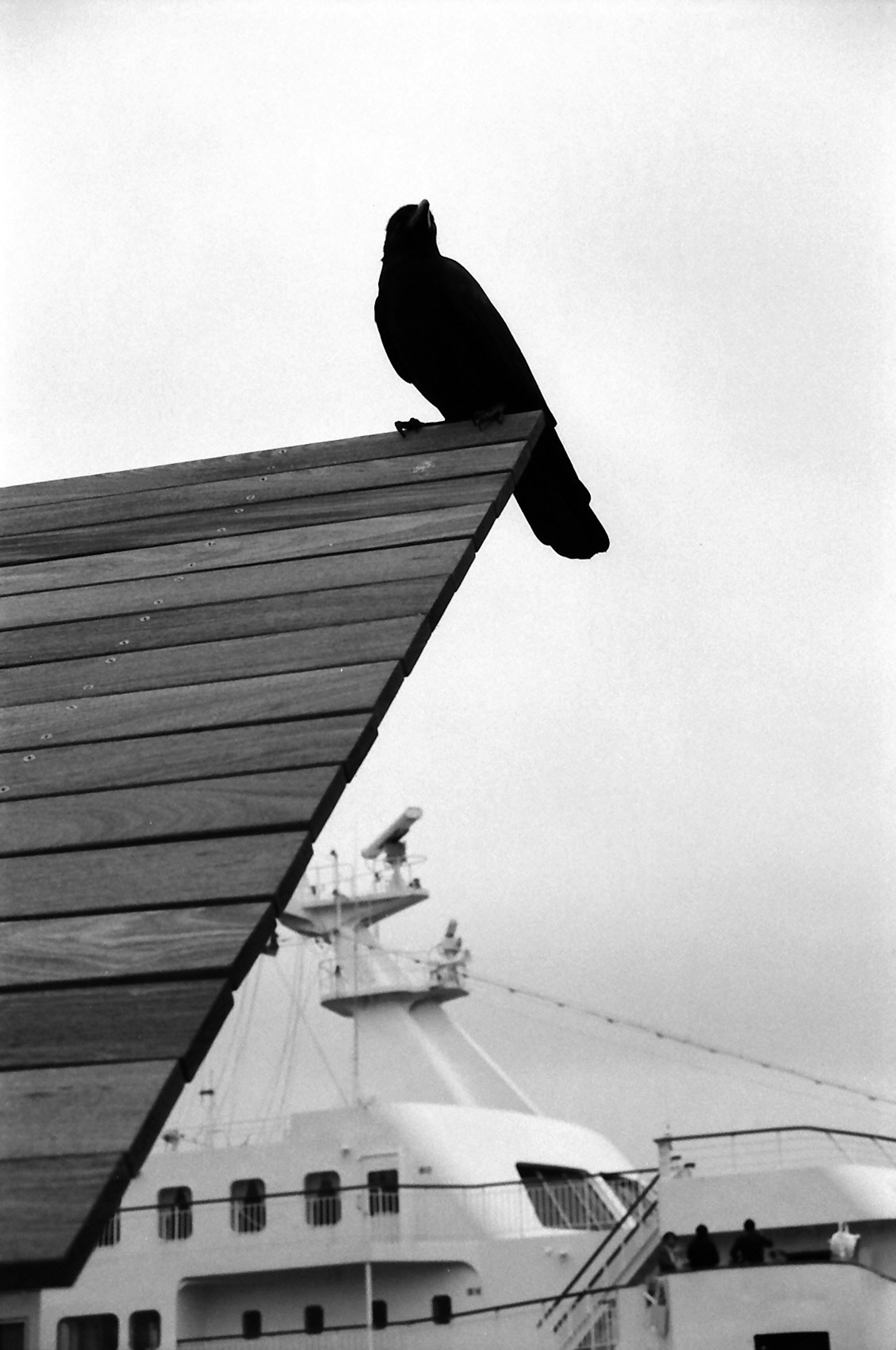 Ein schwarzer Vogel sitzt auf dem Rand eines Daches in einem Schwarz-Weiß-Bild mit einem Schiff im Hintergrund