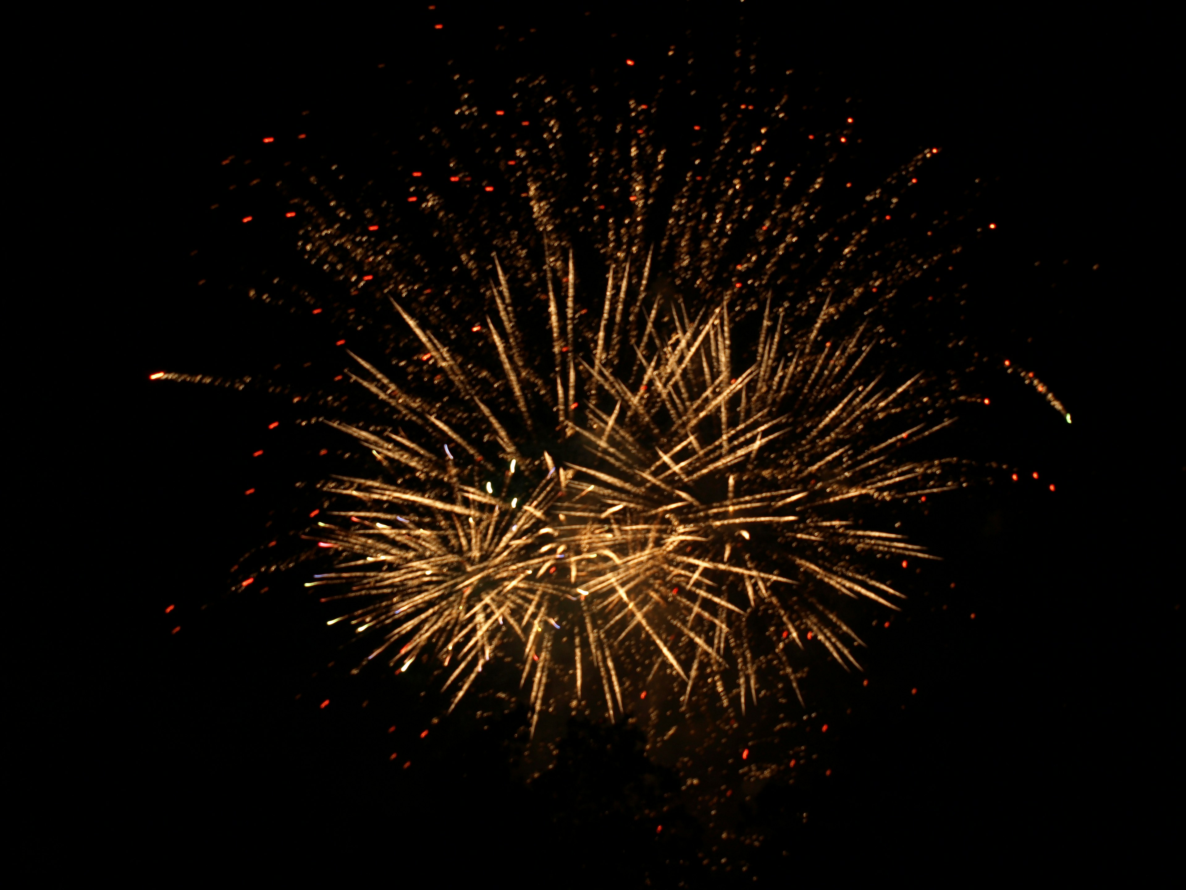 Explosión de fuegos artificiales dorados en el cielo nocturno