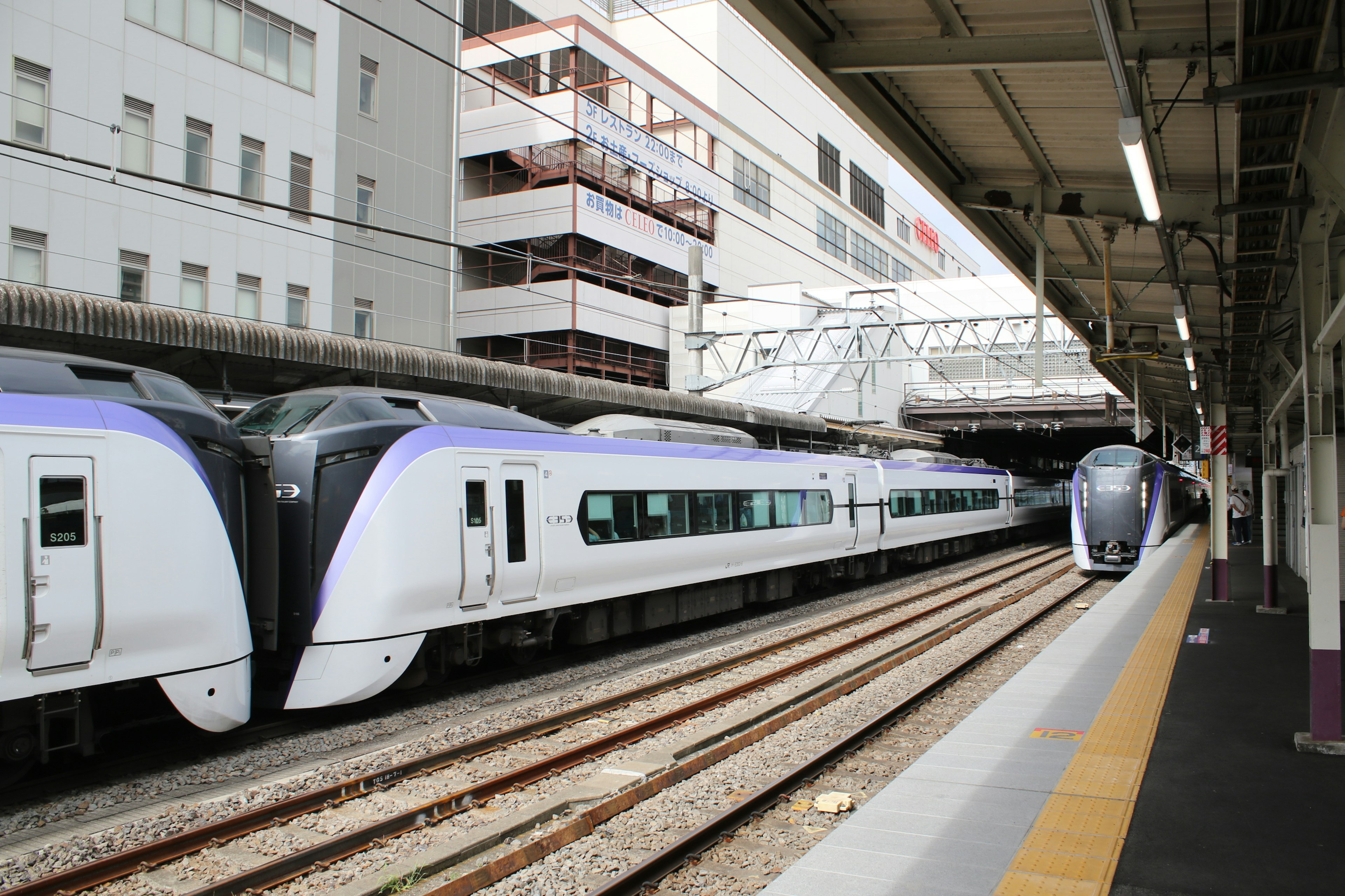 Two trains with white and purple designs at a railway station