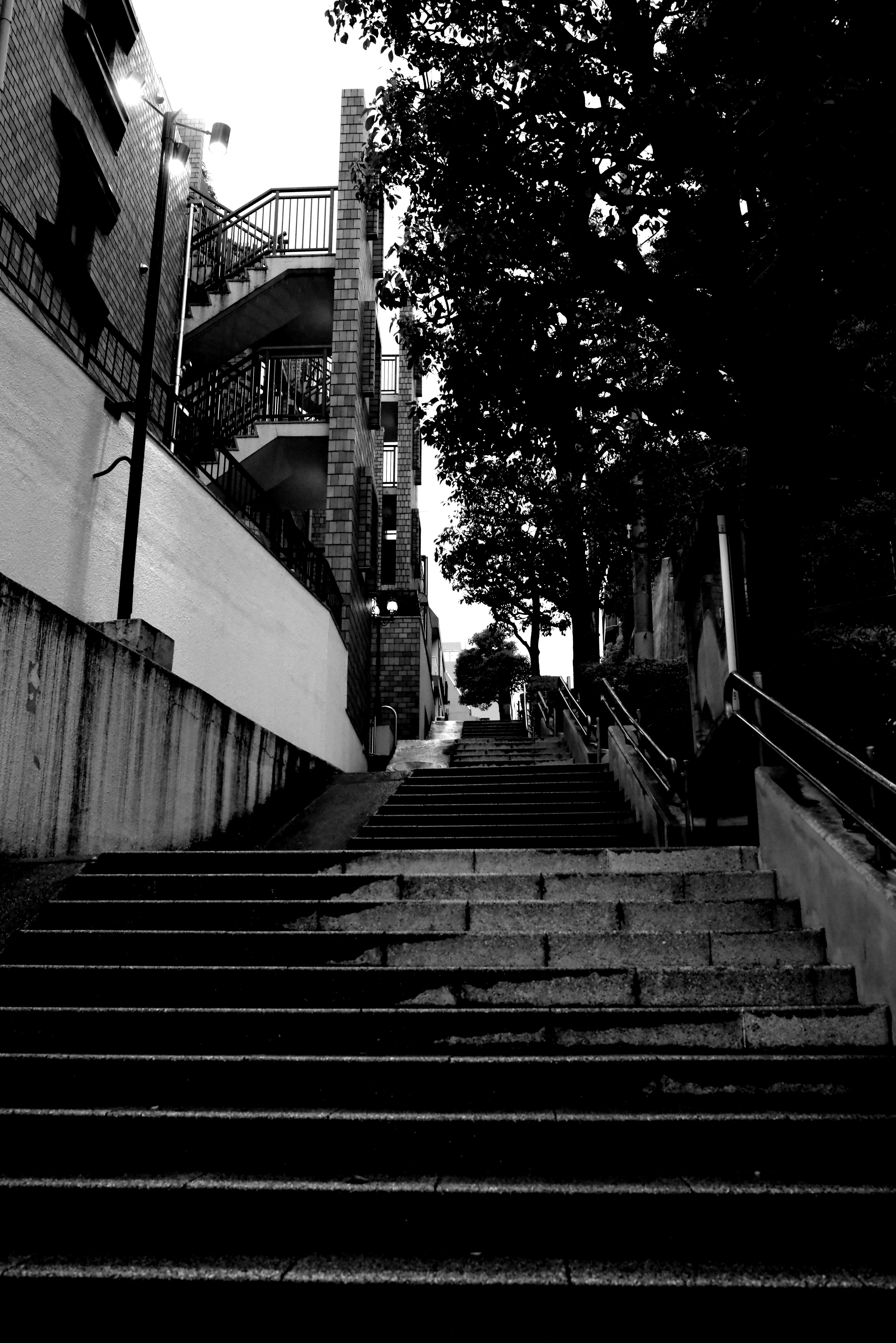 Photo en noir et blanc d'escaliers avec des personnes et des bâtiments environnants