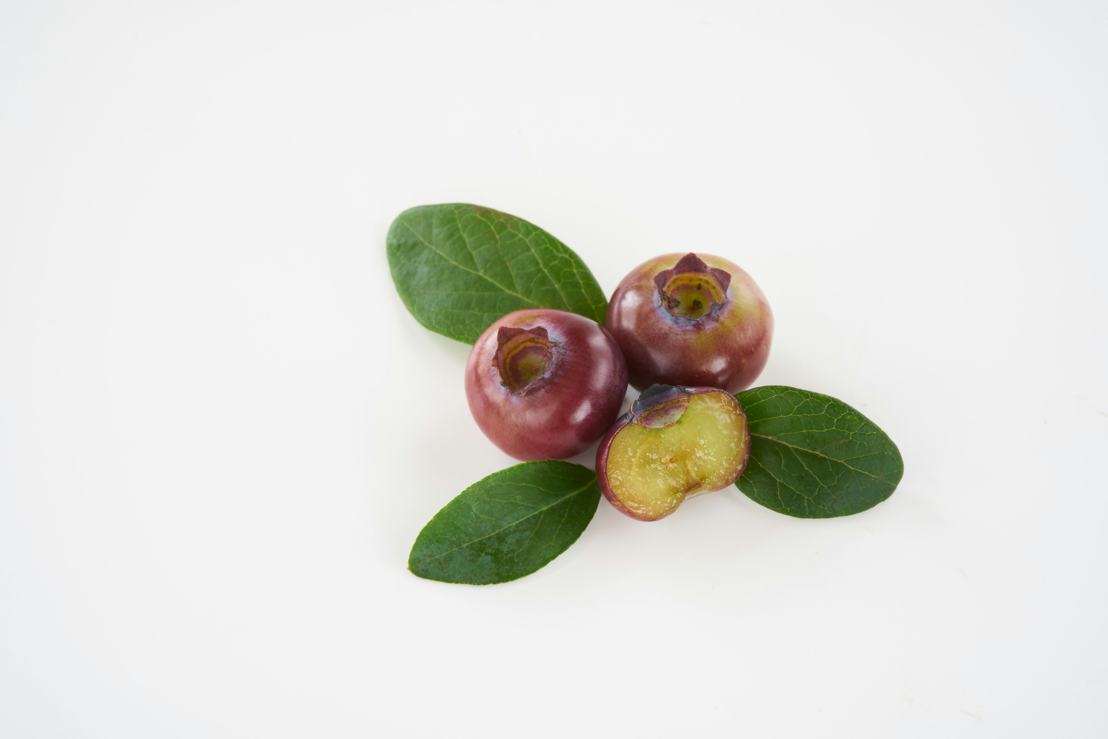 Conjunto de frutas moradas con hojas verdes