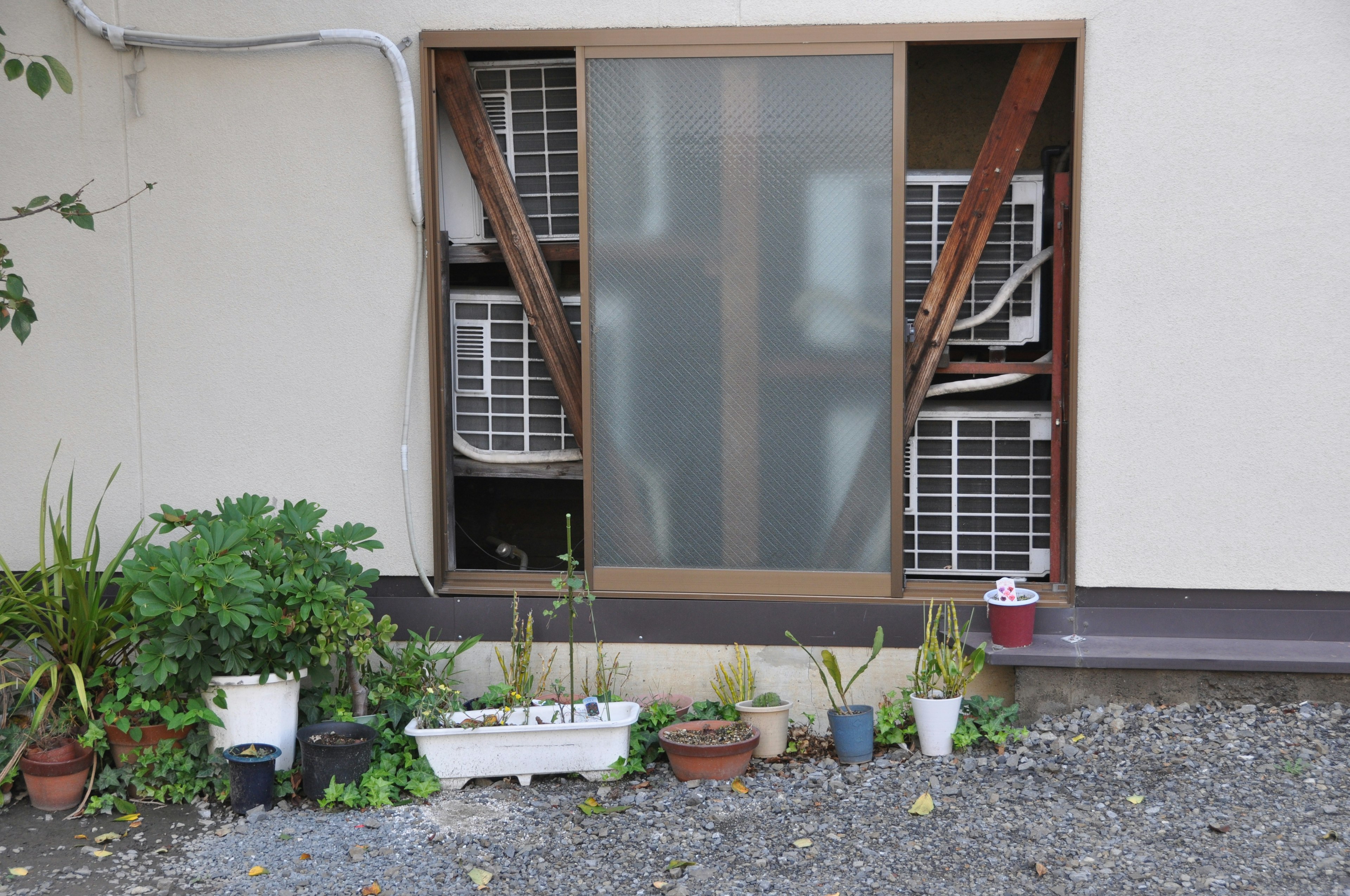 View of a window with air conditioning units and surrounding plants