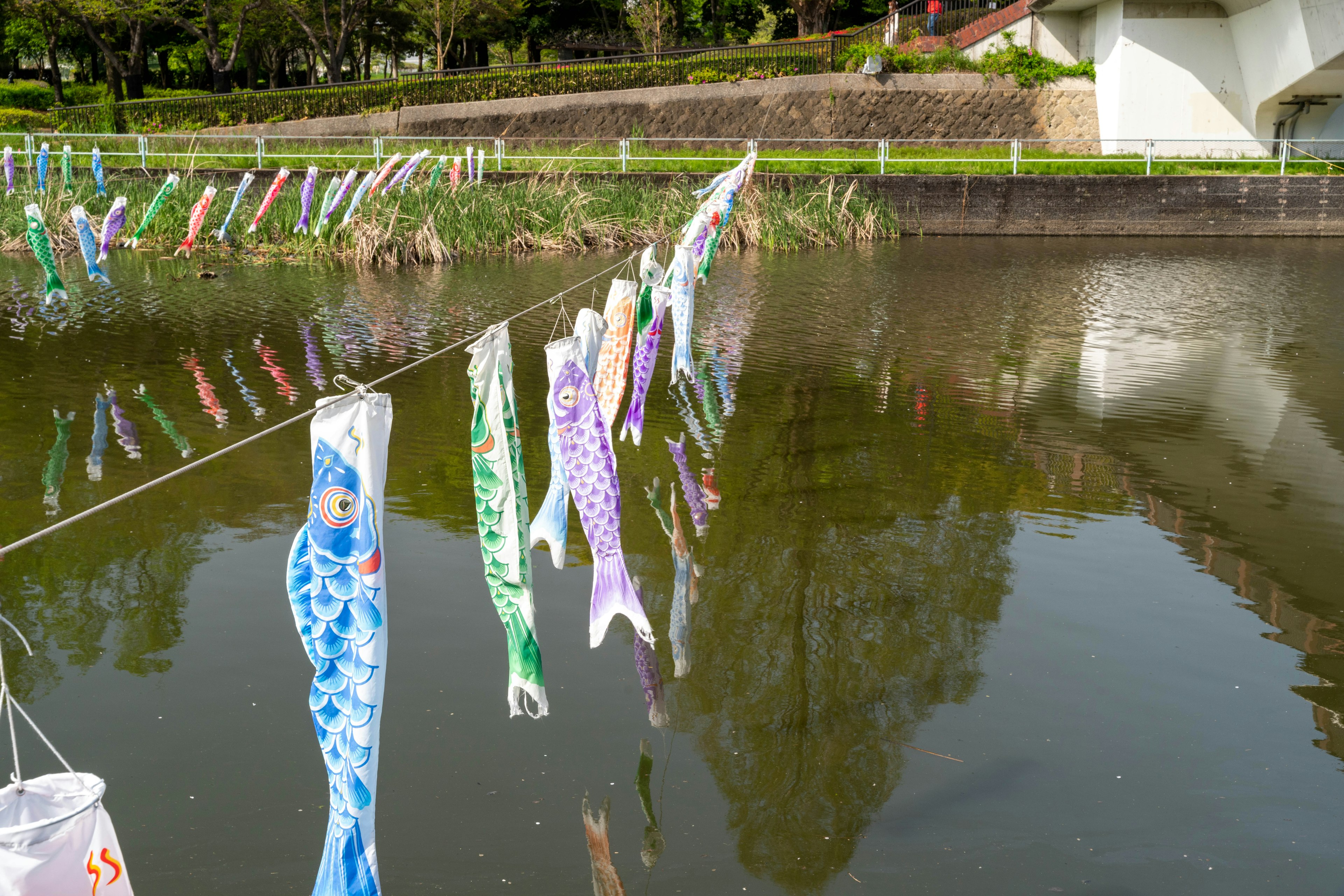 Bunte Koinobori, die über einem Teich hängen