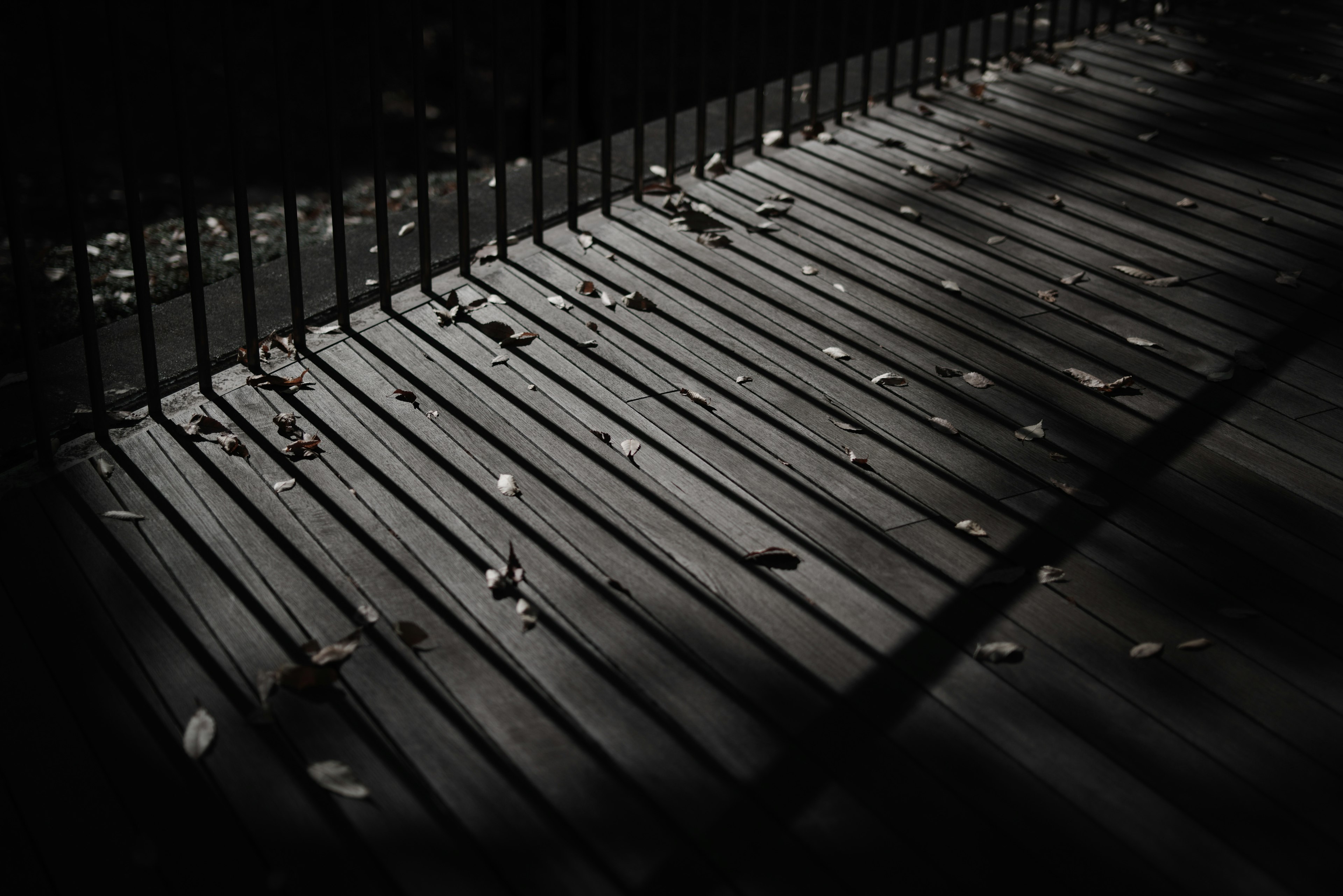 Deck de madera con hojas esparcidas en poca luz