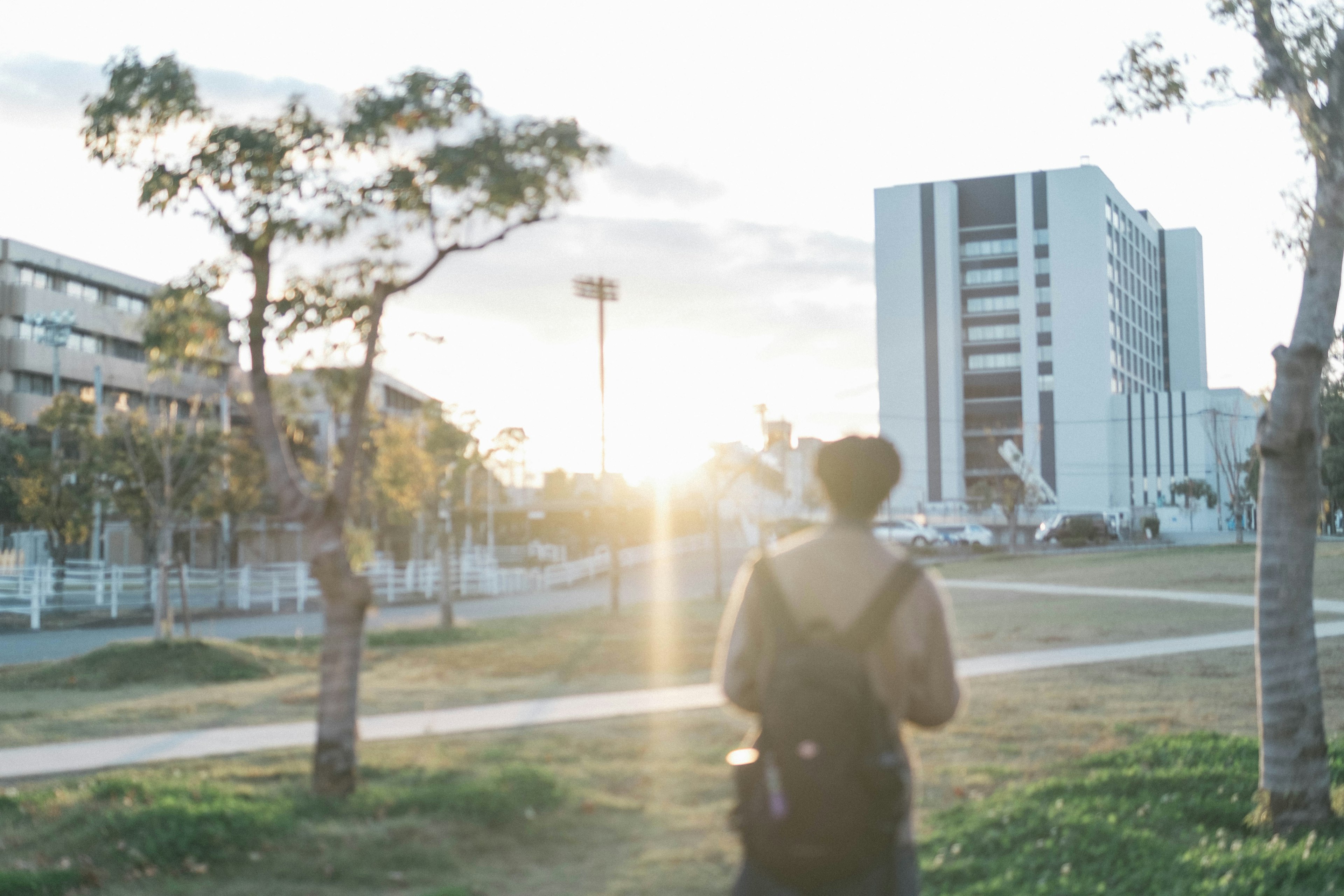 A person walking in a park with a sunset in the background