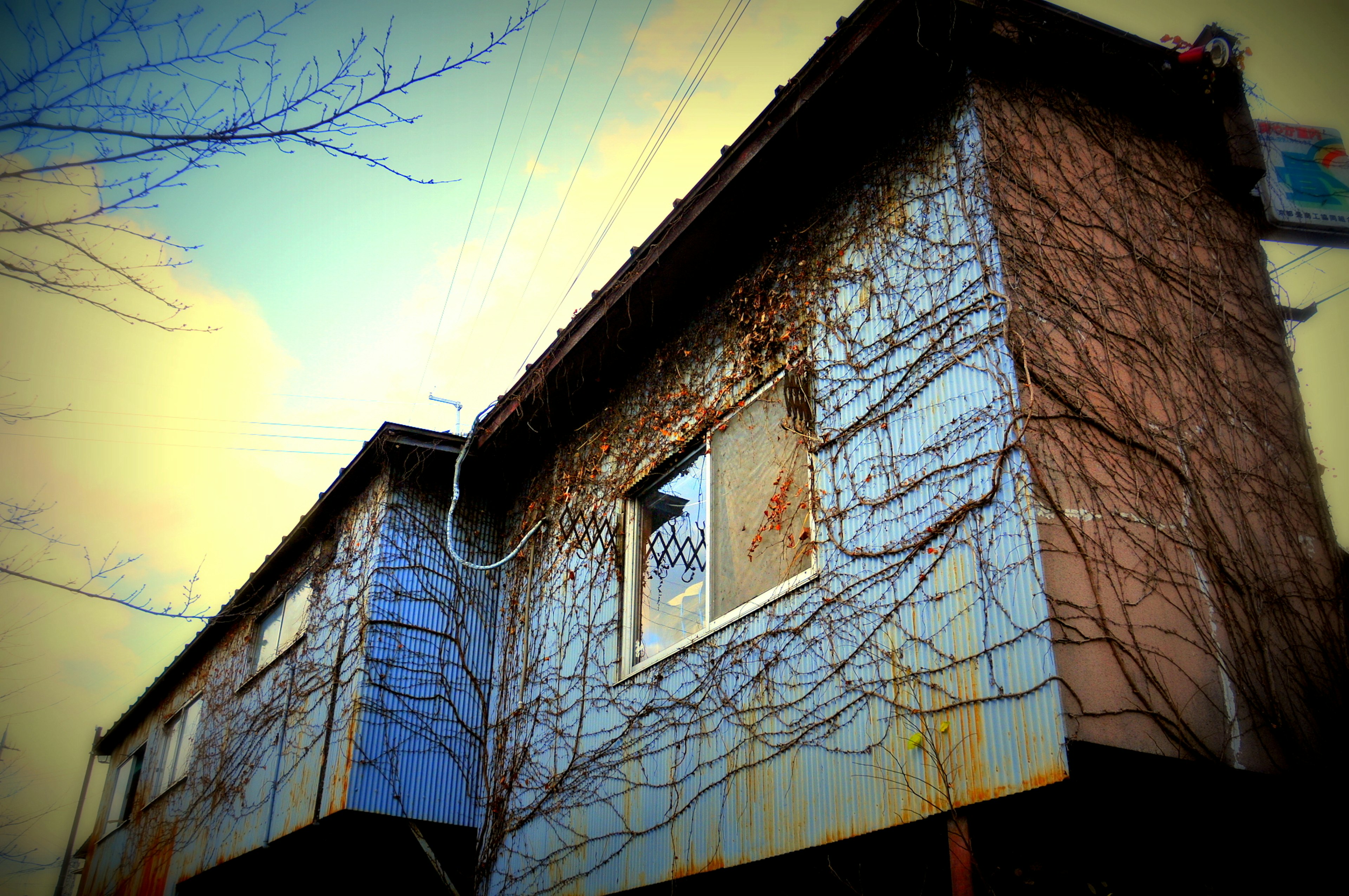 Extérieur d'une vieille maison avec des murs bleus et des vignes grimpantes