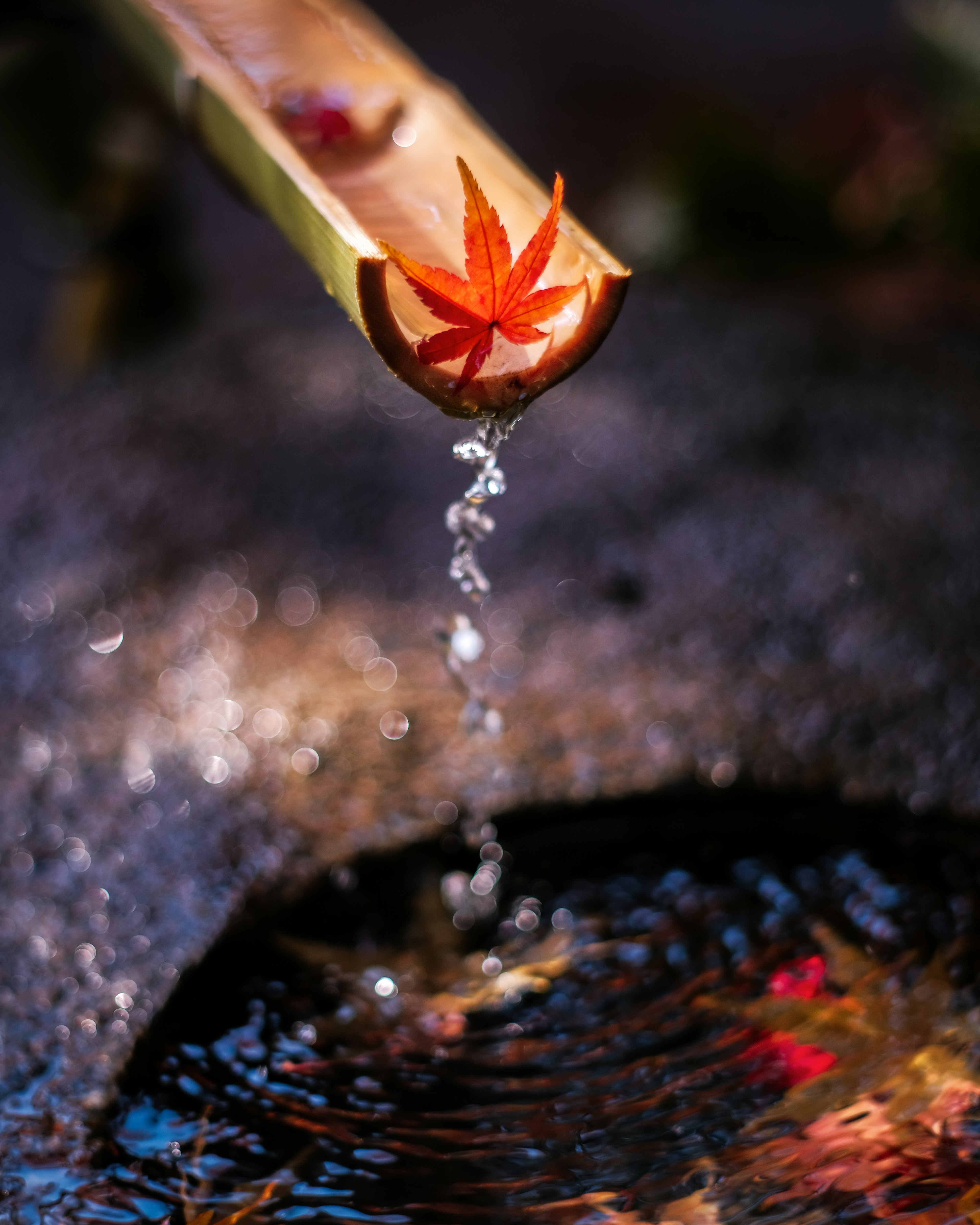 Tubo de agua de bambú con agua fluyendo y una hoja de arce roja