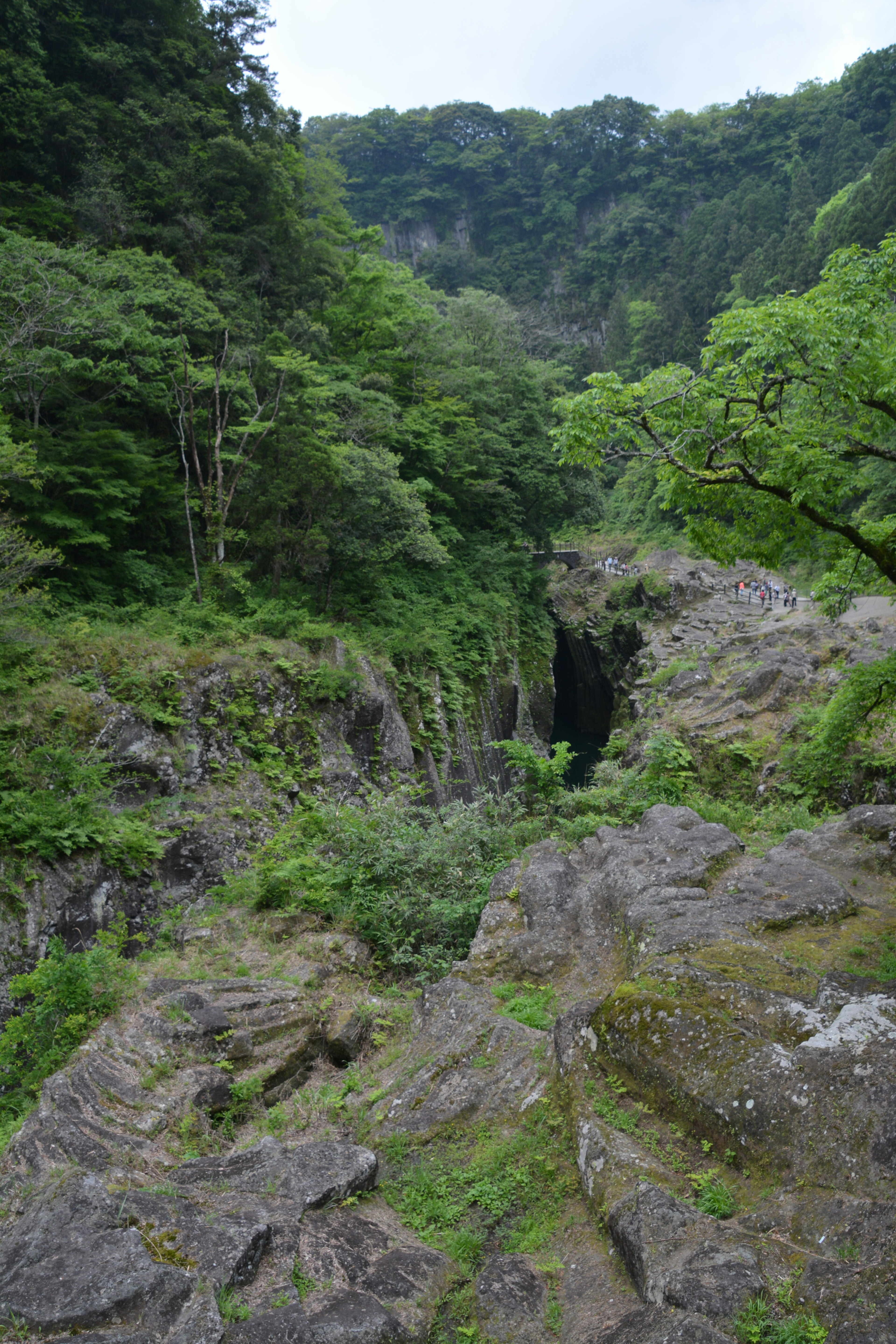 Vista escénica de un cañón rodeado de exuberante vegetación y terreno rocoso