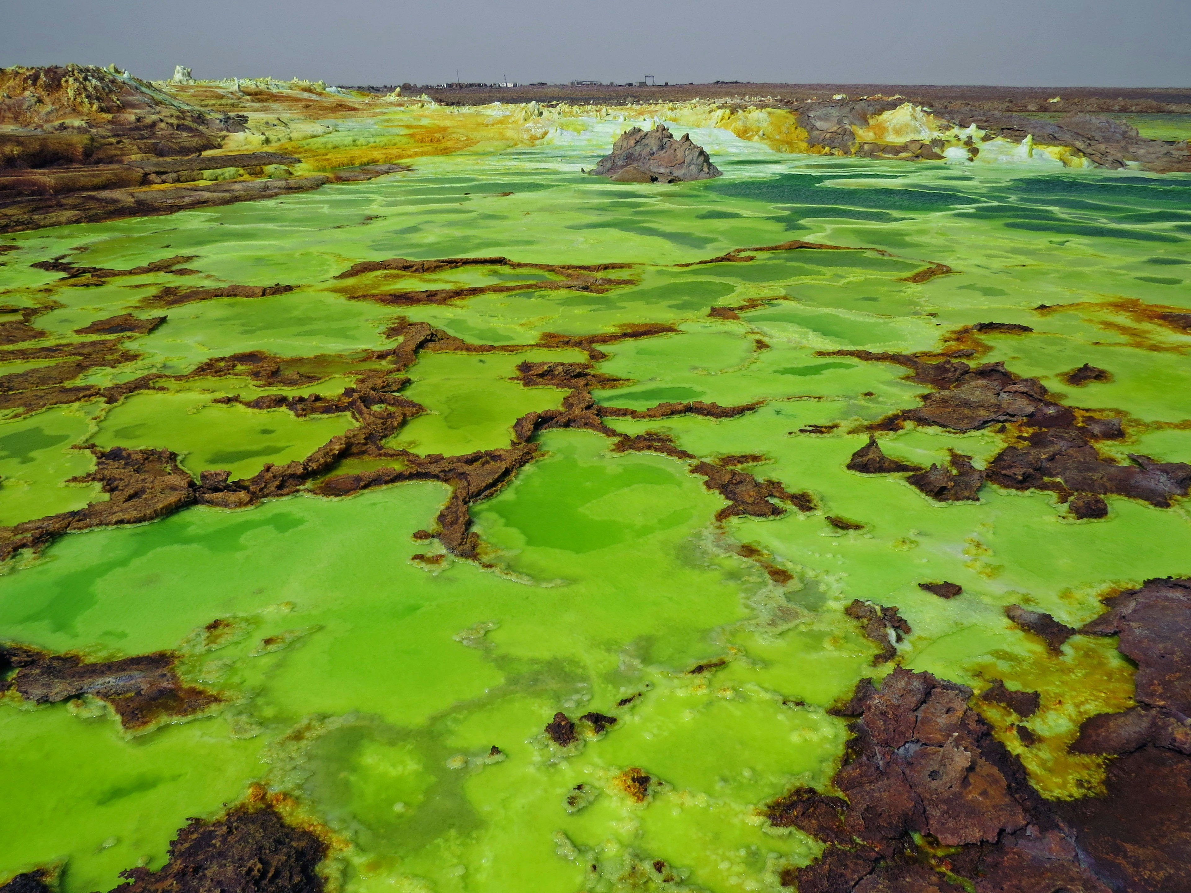 Surface d'eau verte vibrante avec un terrain complexe