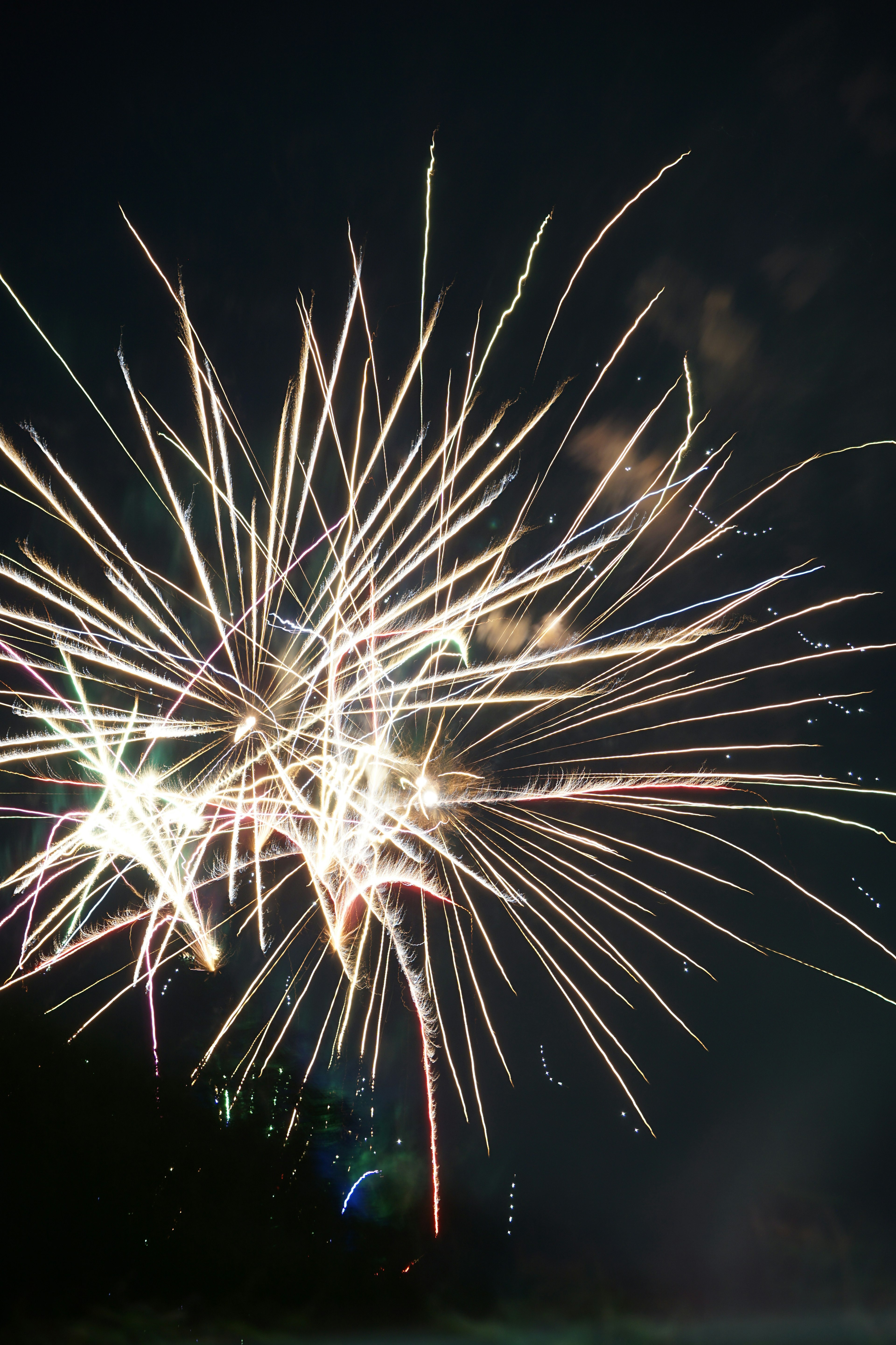 Explosión vibrante de fuegos artificiales iluminando el cielo nocturno