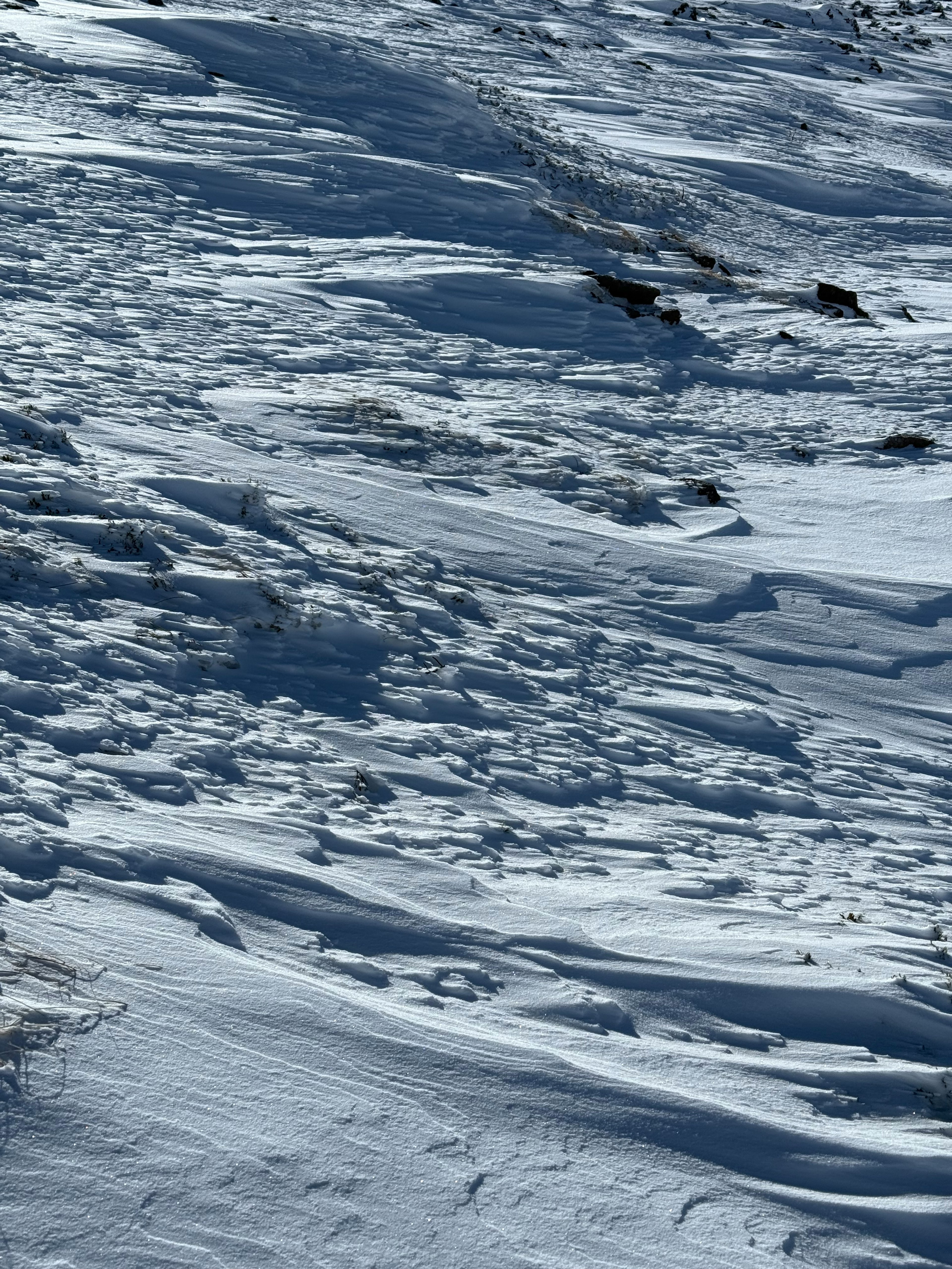 Texture détaillée et ombres d'une pente recouverte de neige