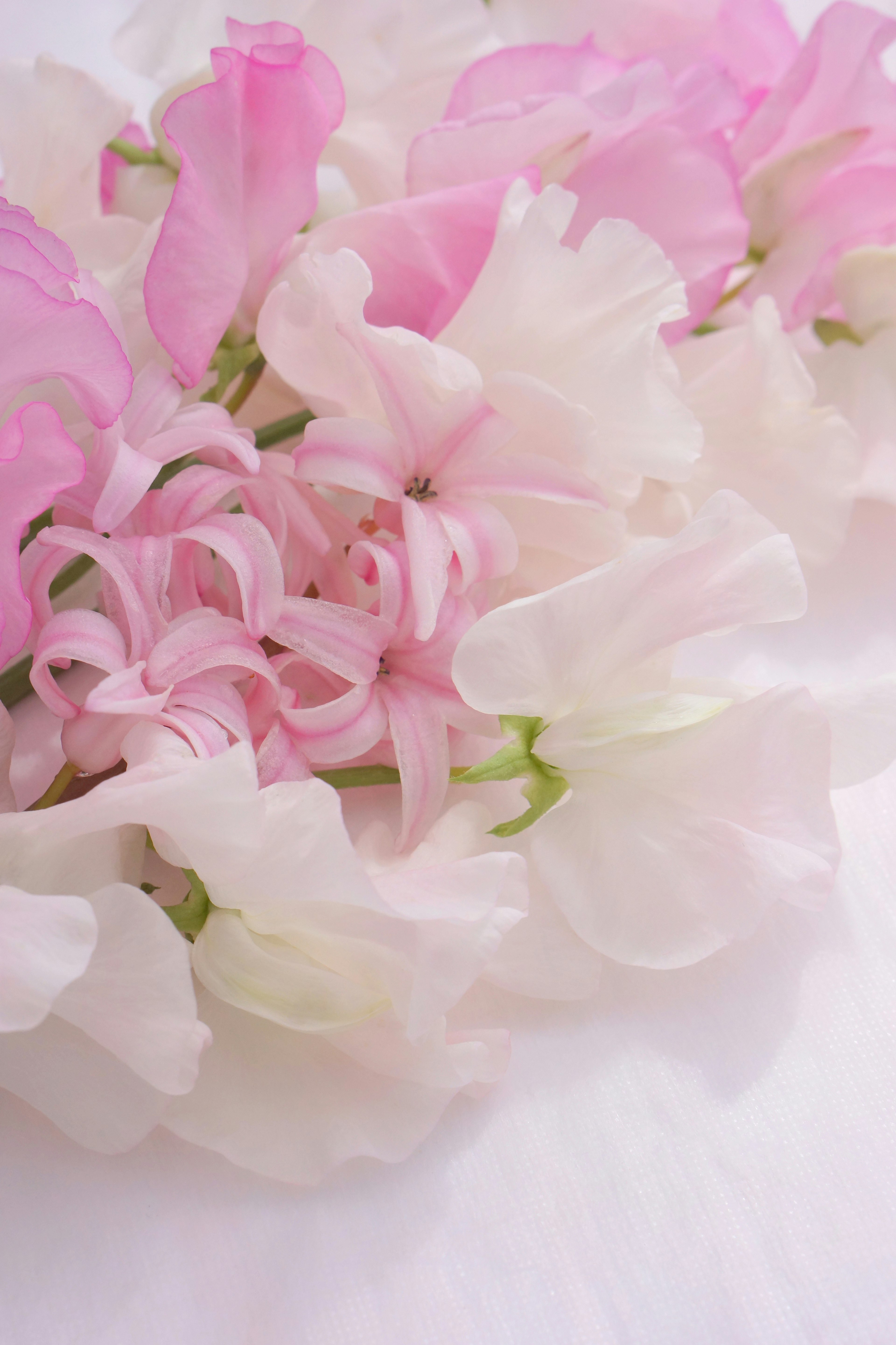 A bouquet of soft pink and white sweet pea flowers