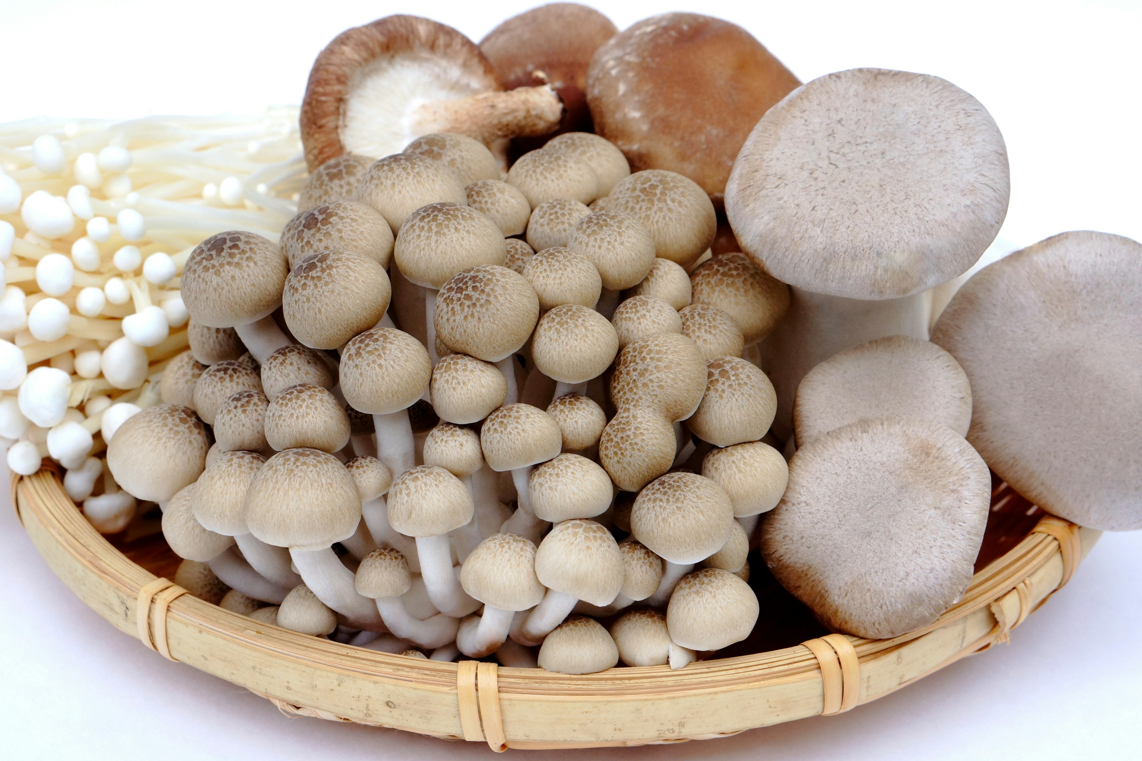 A woven basket filled with various types of mushrooms