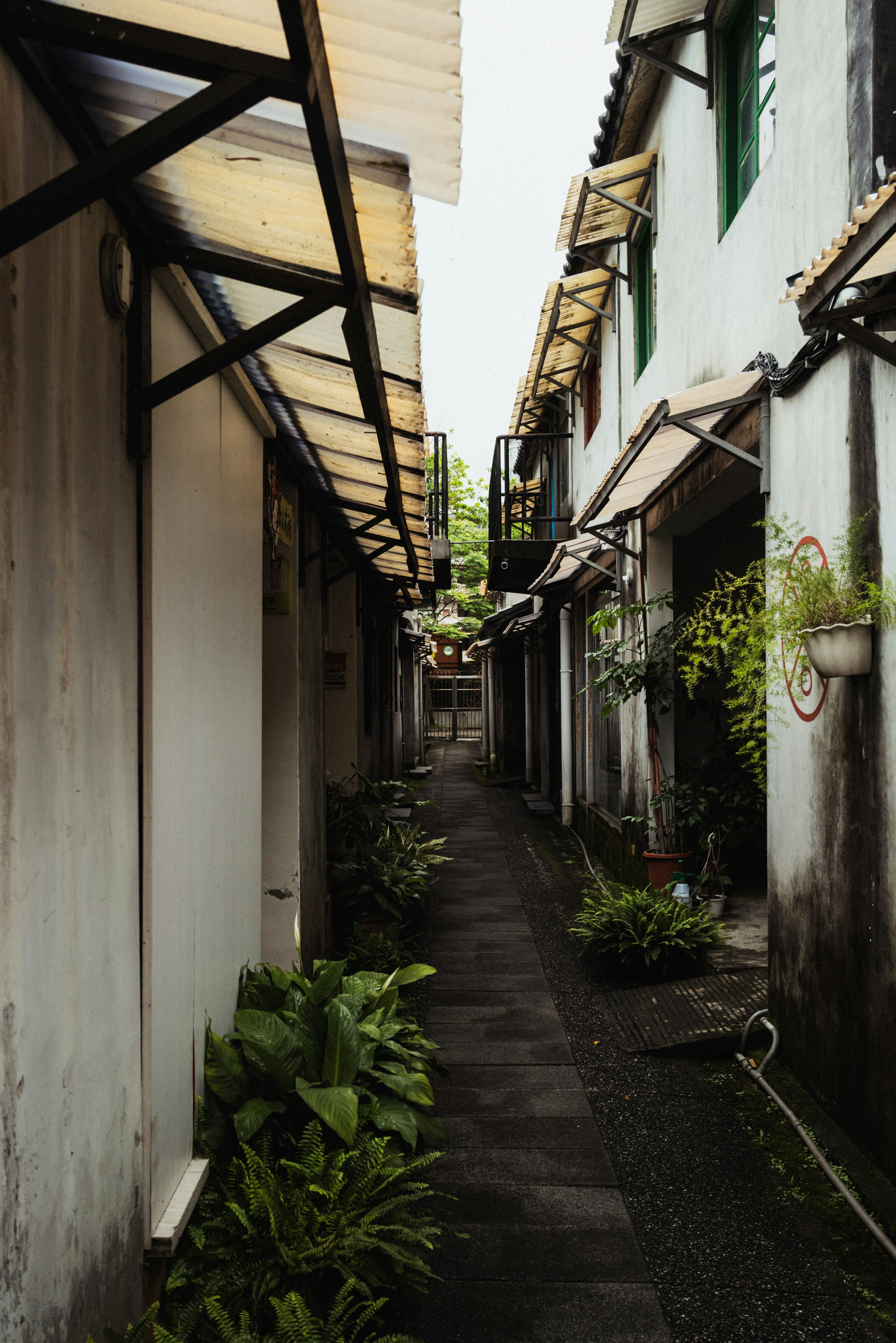 Allée étroite bordée de maisons et de verdure