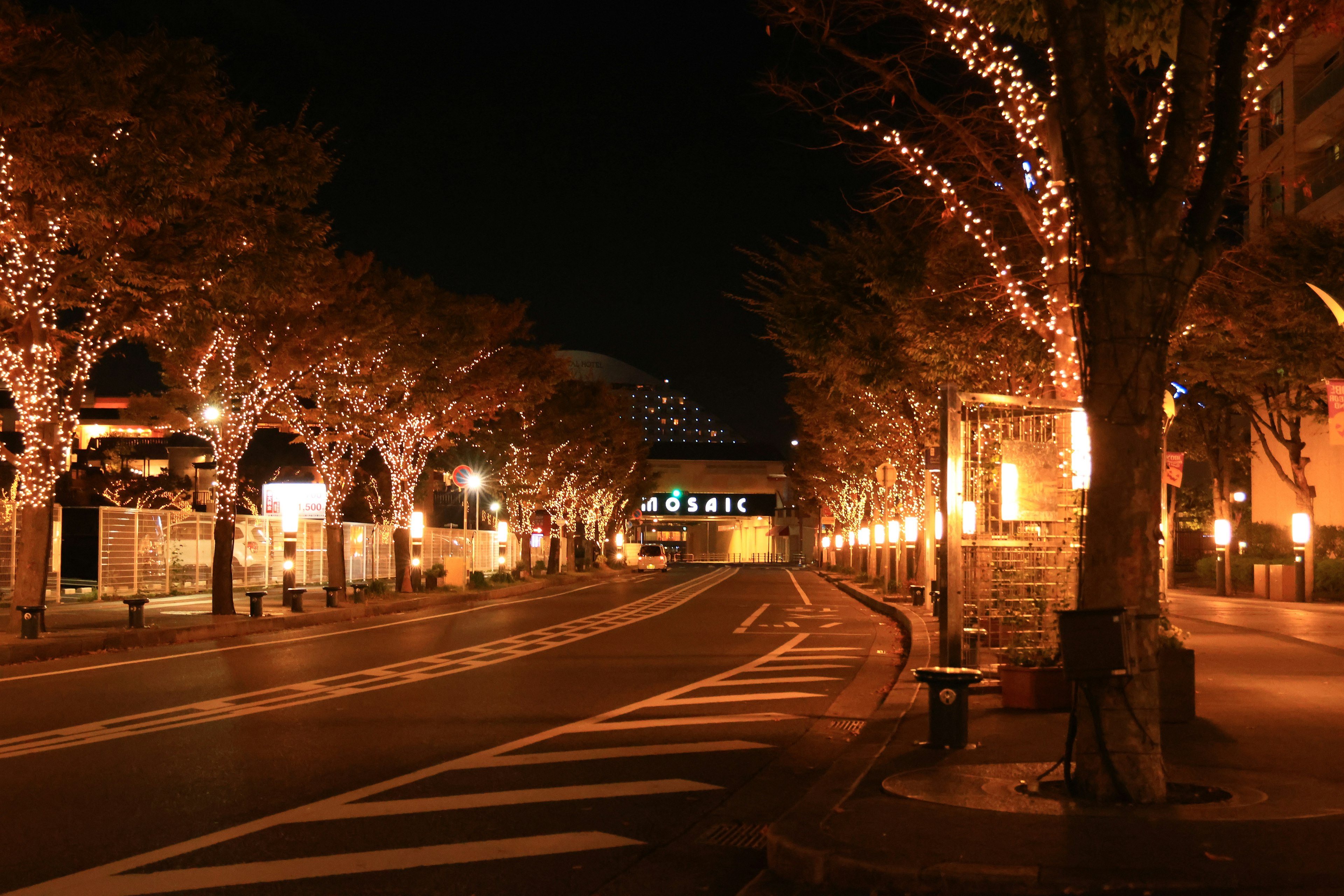 Street adorned with illuminated trees and quiet road at night