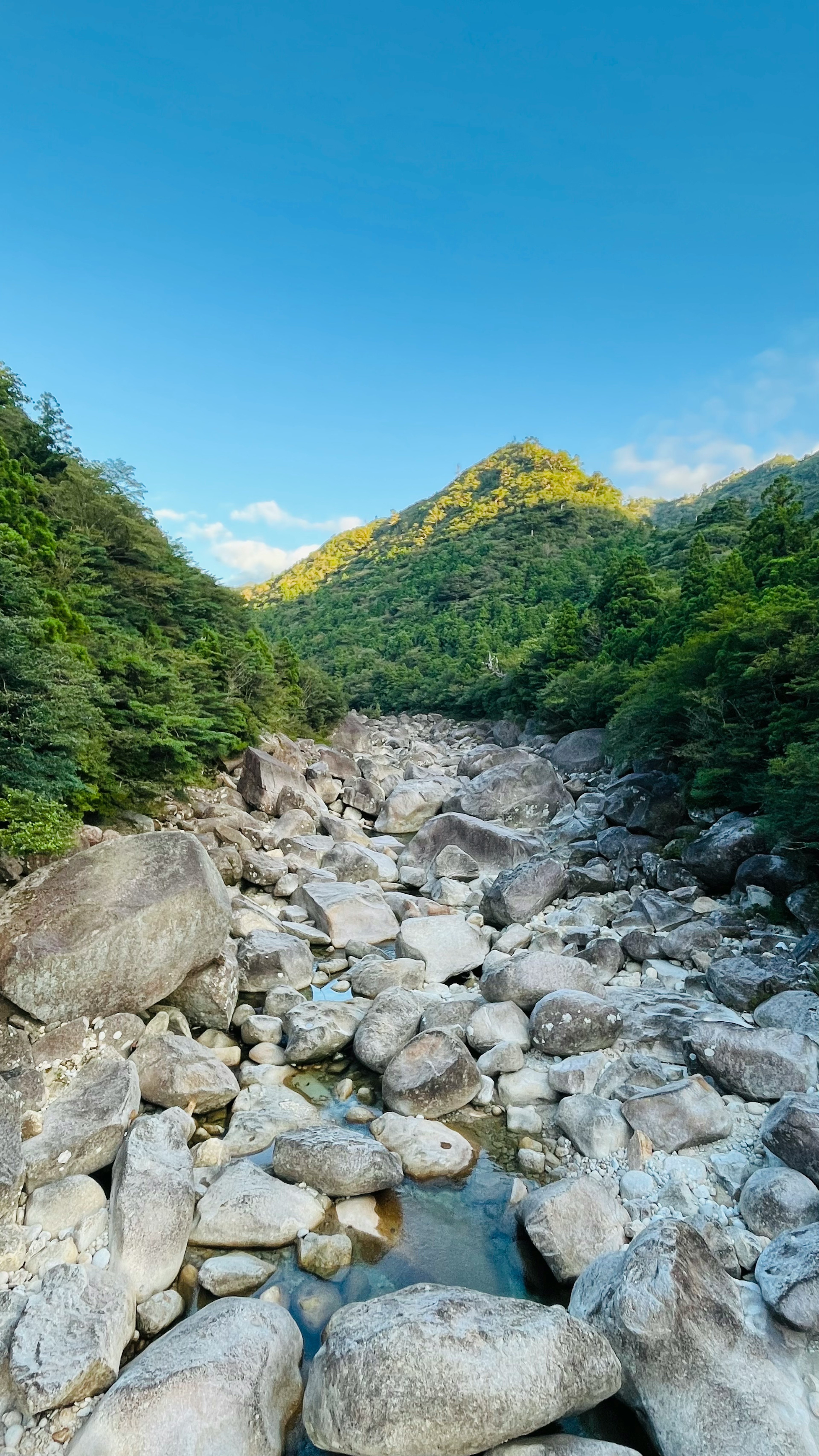 青空と緑に囲まれた岩だらけの川の景色