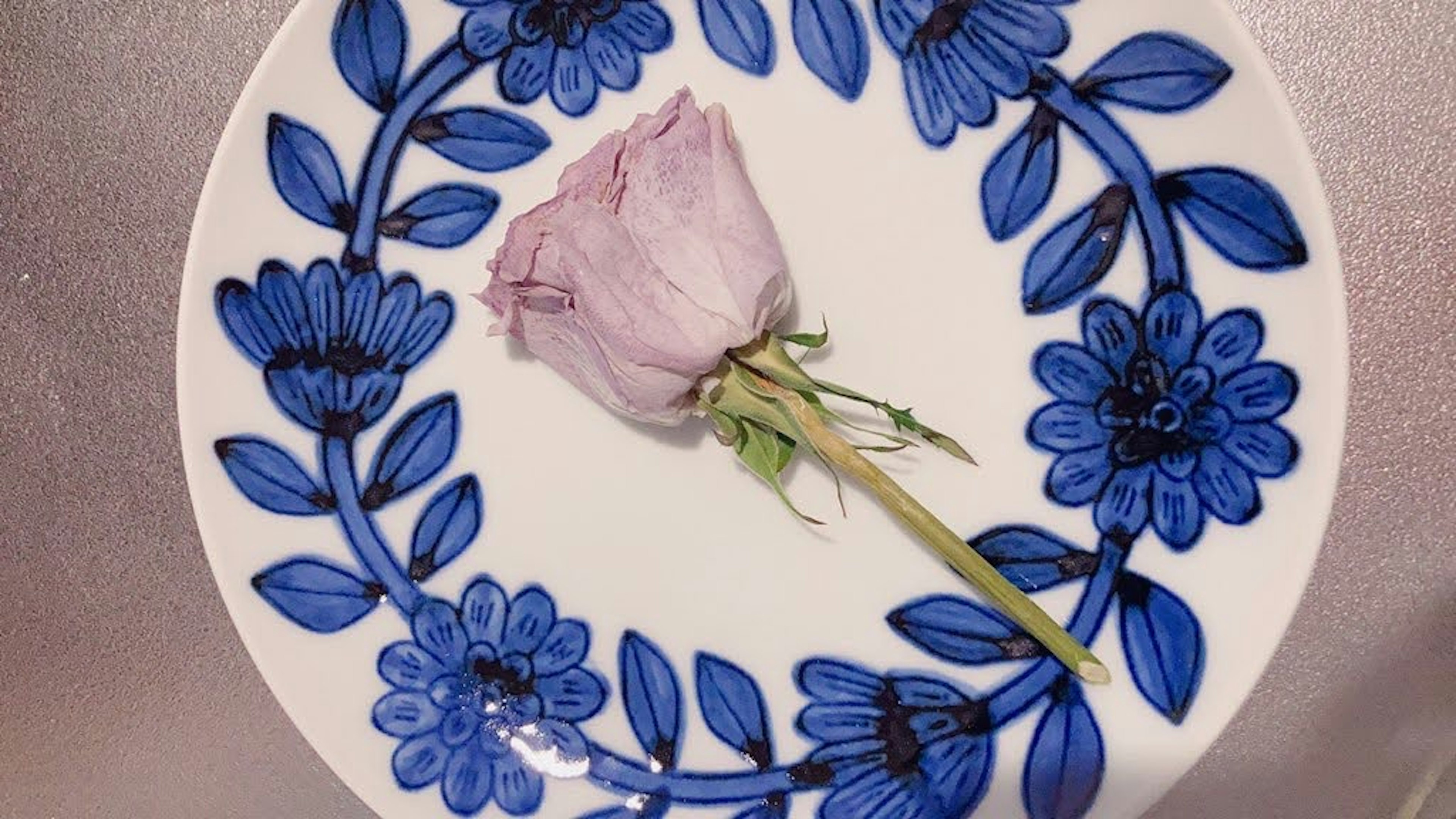 Una rosa viola chiaro posata su un piatto con motivo floreale blu