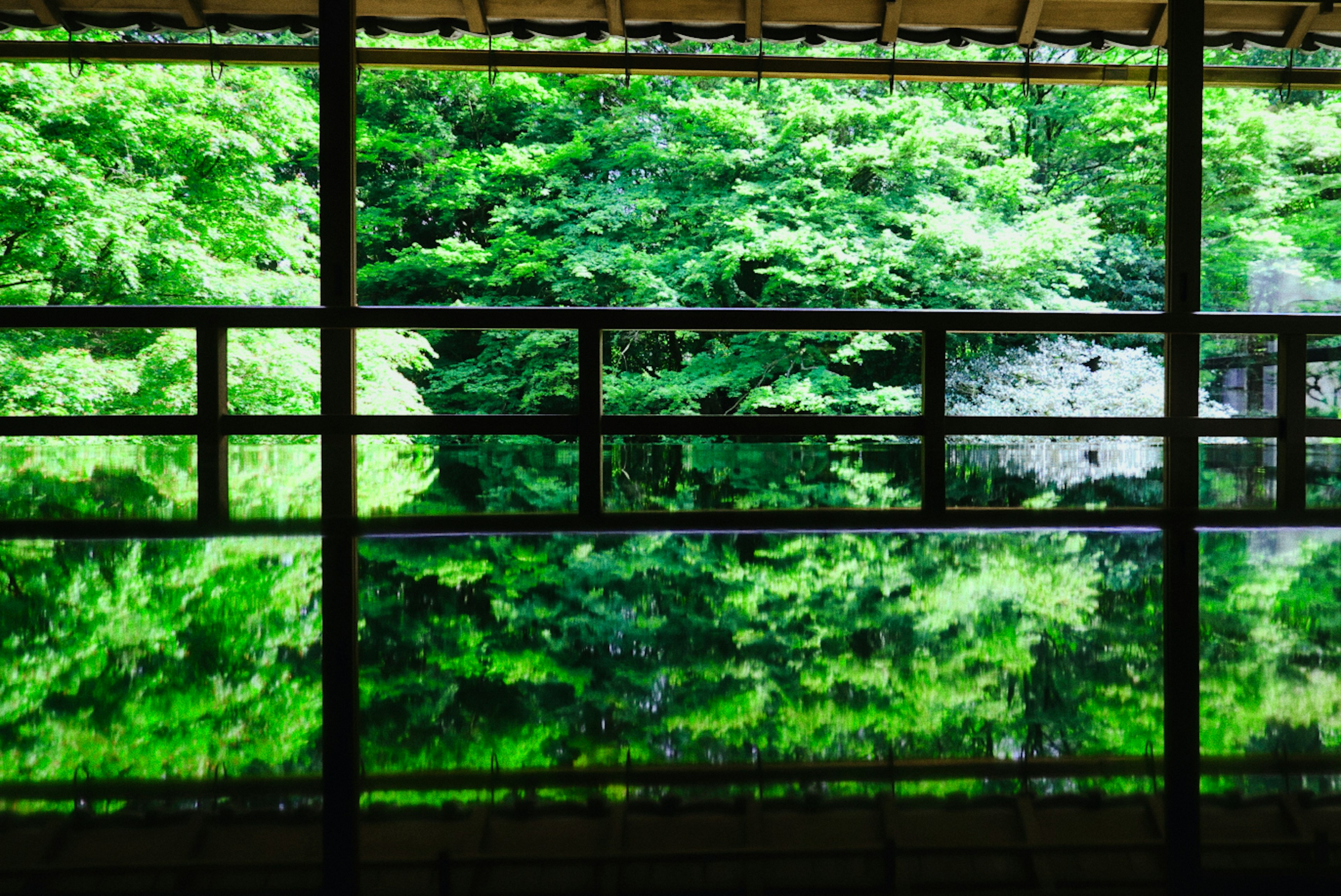 Ein ruhiger Raum mit üppigen grünen Bäumen, die sich im Fenster spiegeln