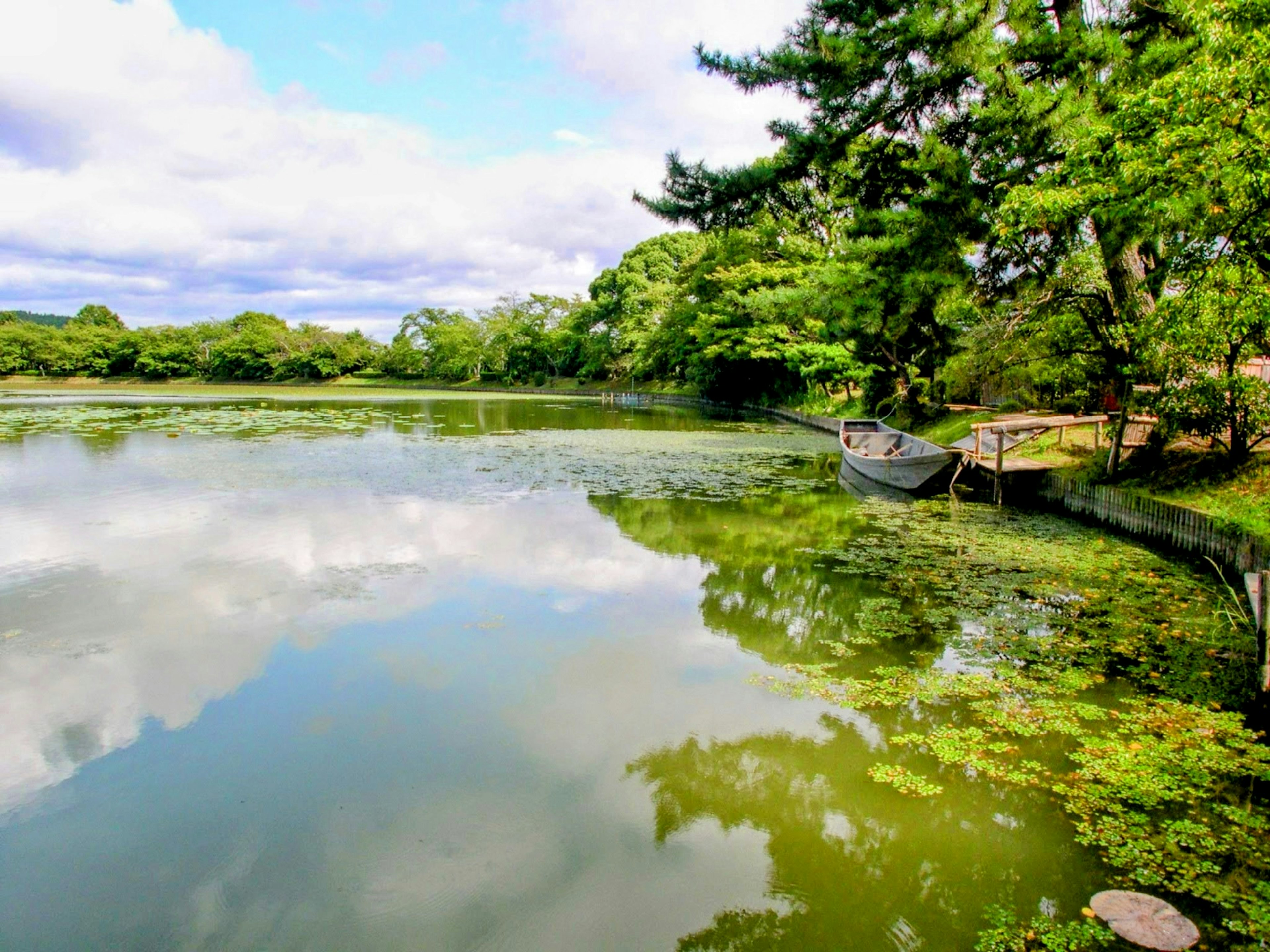 Escena de lago sereno con árboles verdes y un bote reflejado en el agua