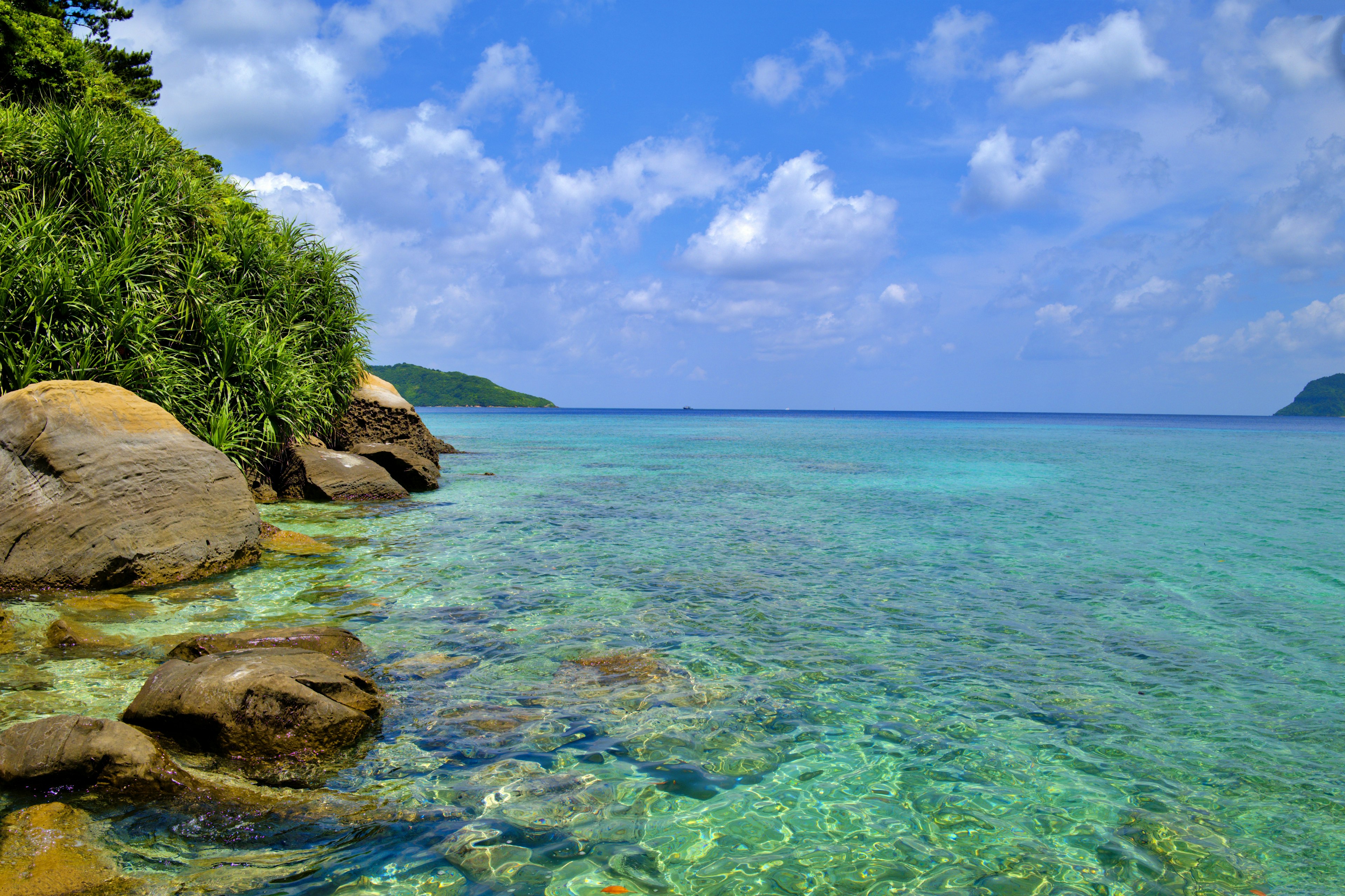 Hermosa escena de playa con agua clara y rocas