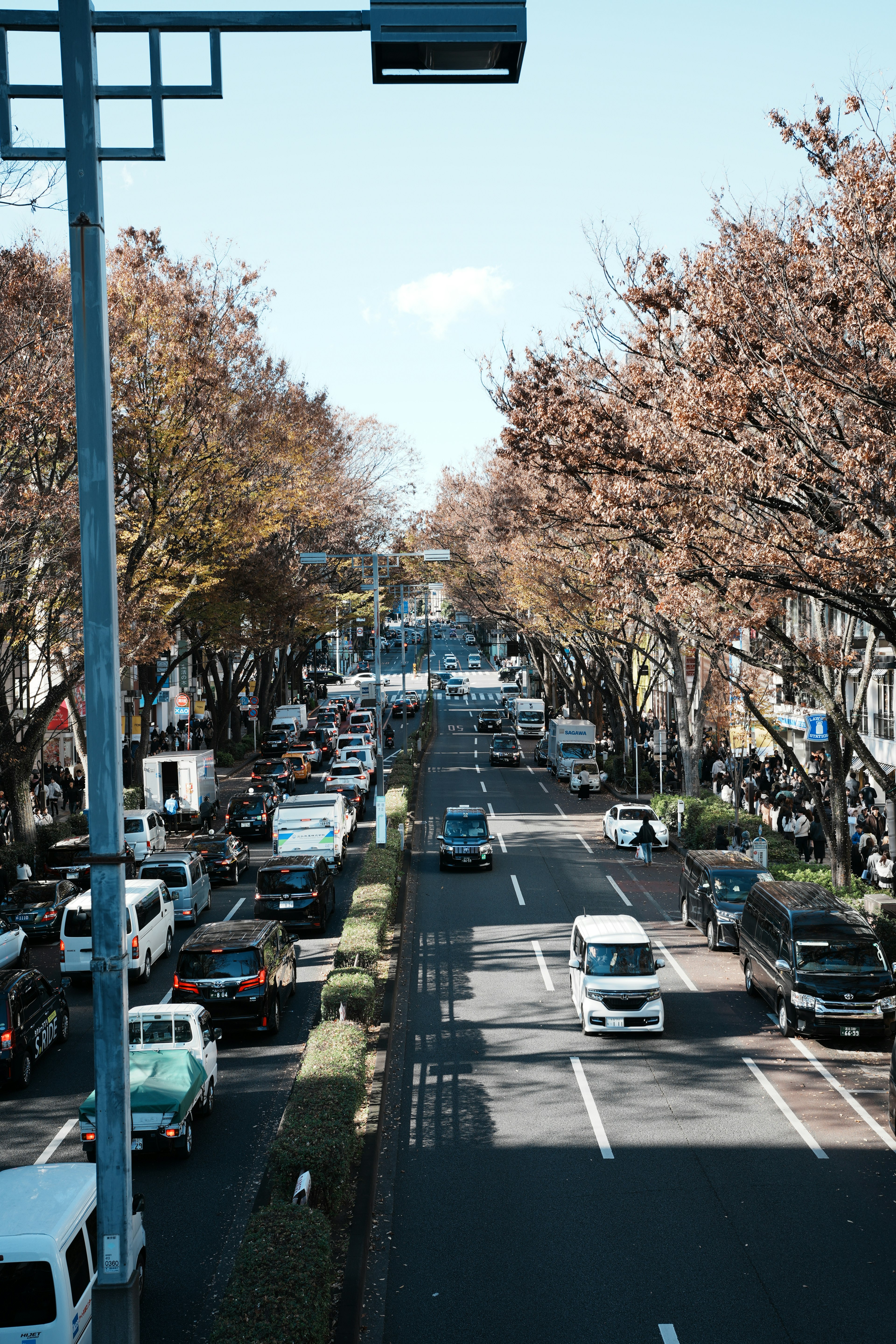 Street view with lined vehicles and tree-lined road