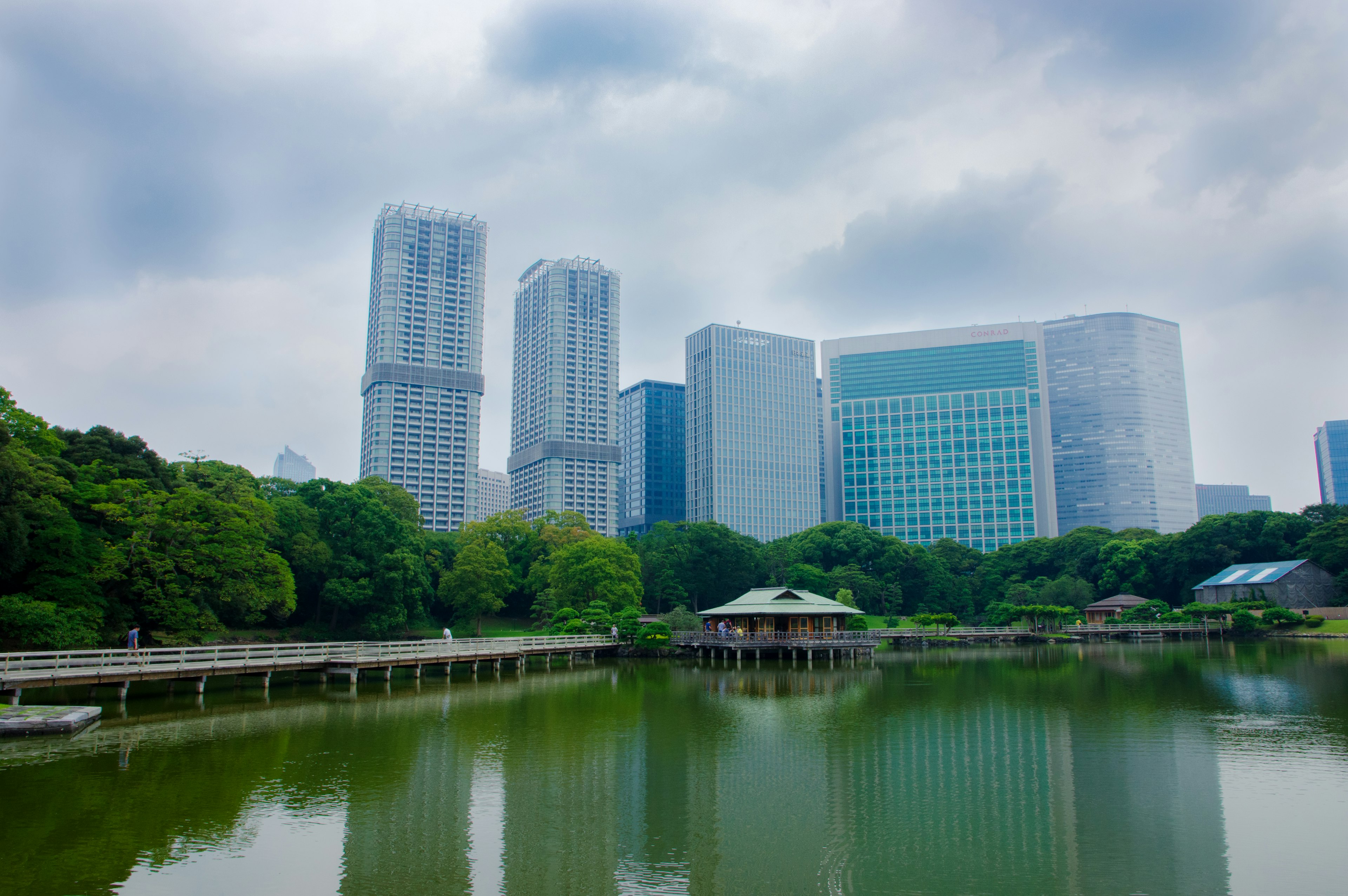 Skyline urbana con grattacieli e un parco lussureggiante