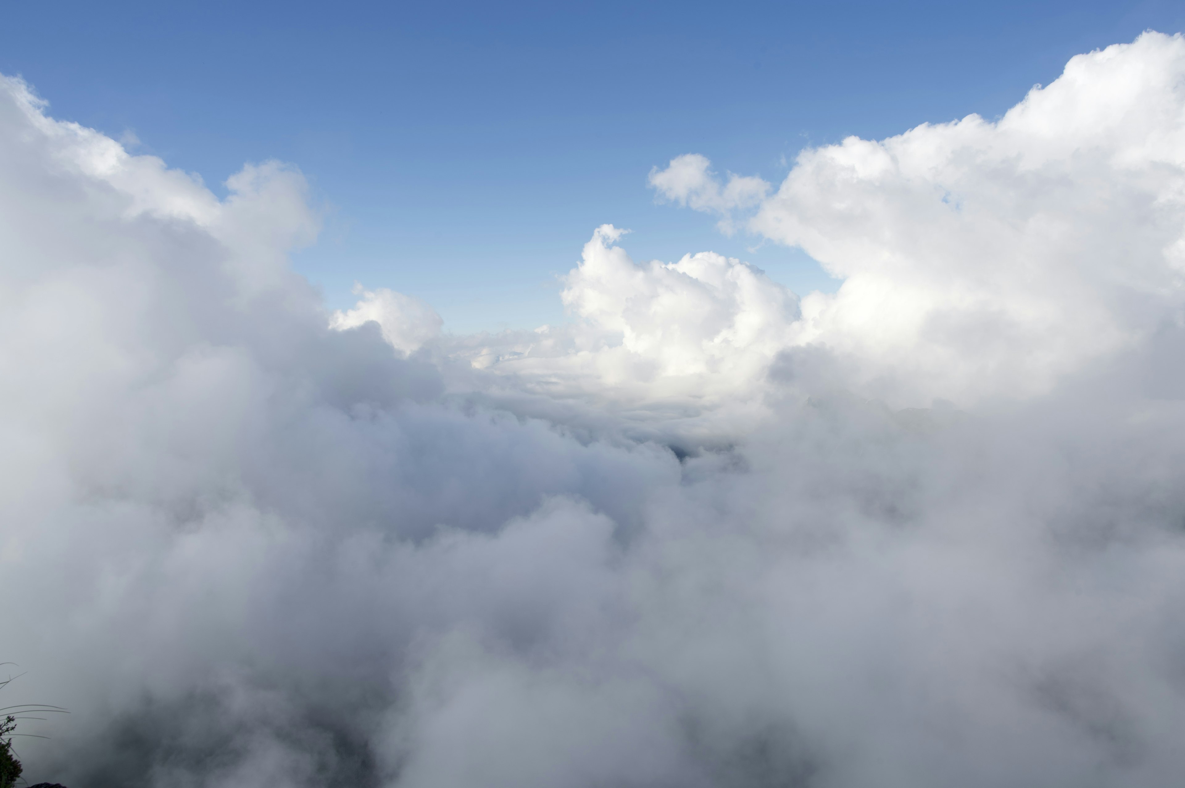 青空と白い雲が広がる風景