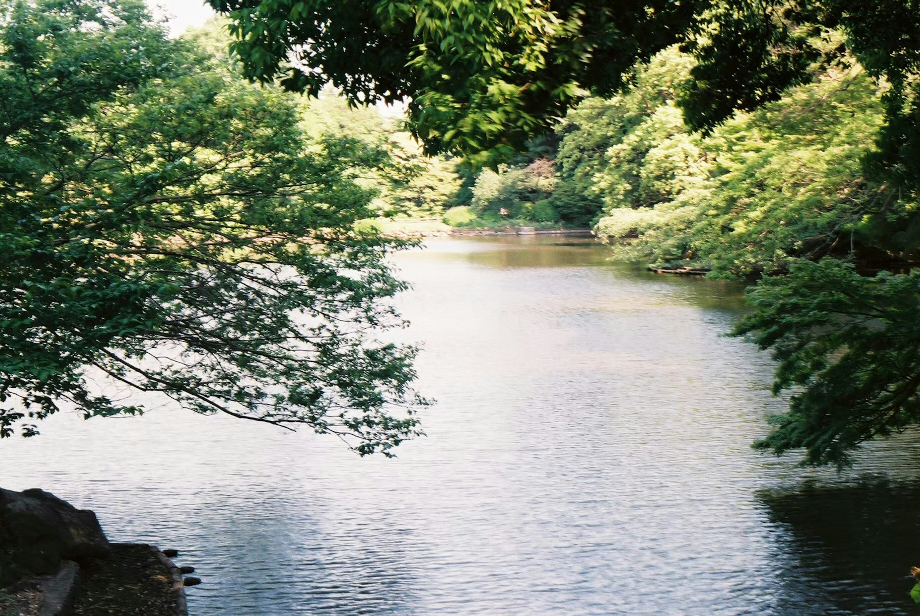 Ruhige Flusslandschaft umgeben von üppigem Grün