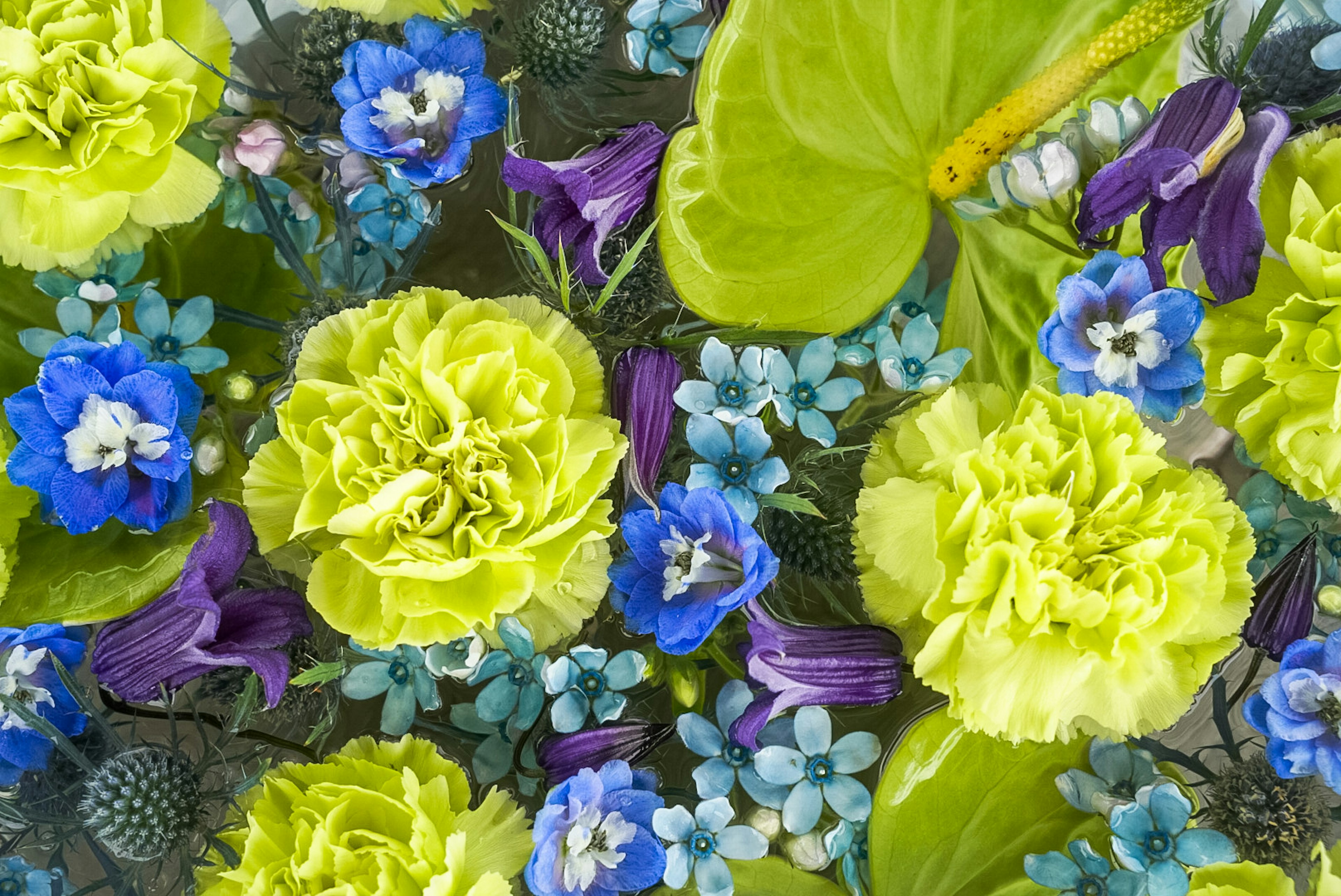 Close-up dari buket cerah dengan bunga hijau dan biru