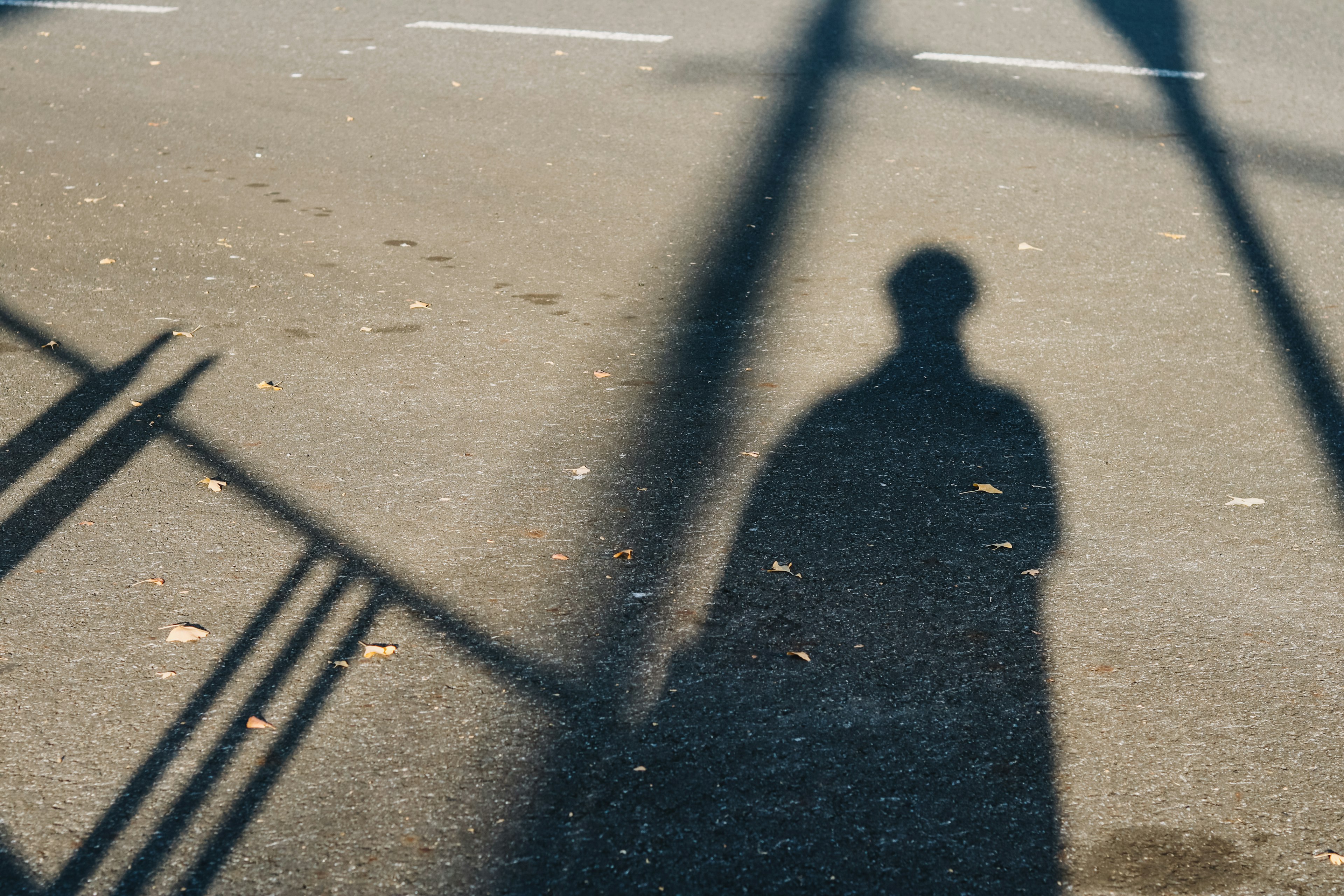 Photo of a shadow on the road with leaves and patterns