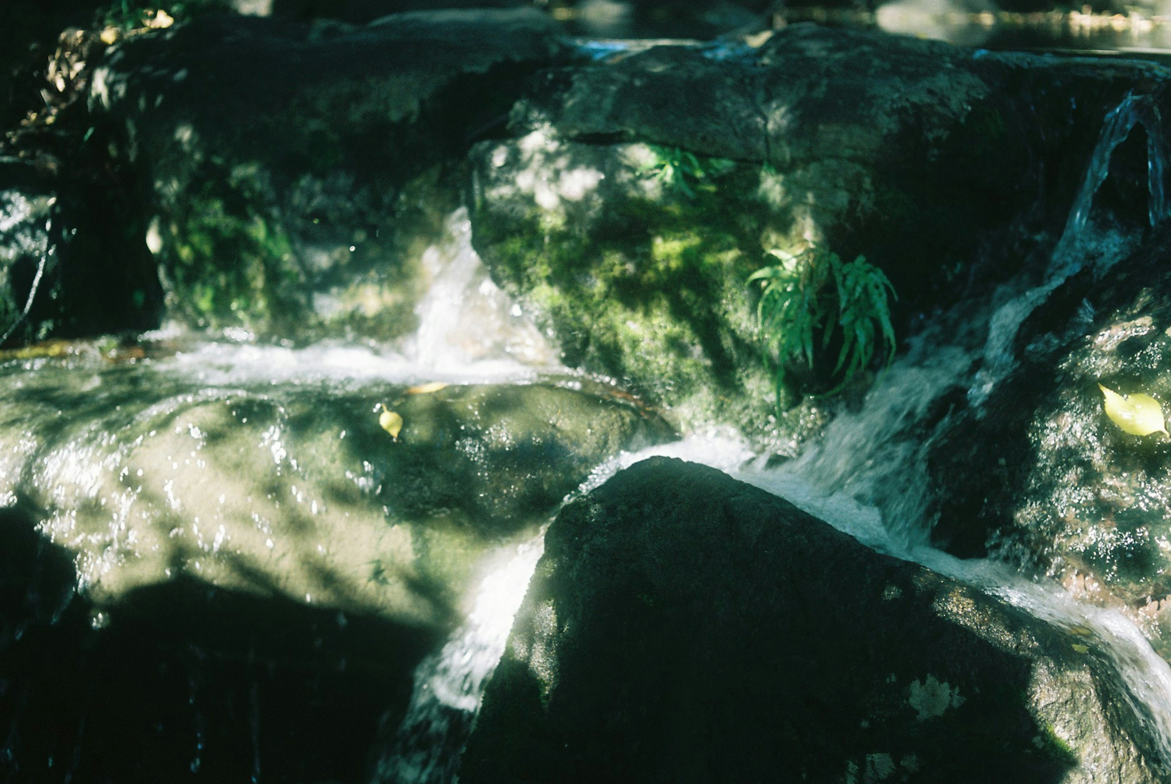 Paesaggio roccioso con acqua che scorre e fogliame verde