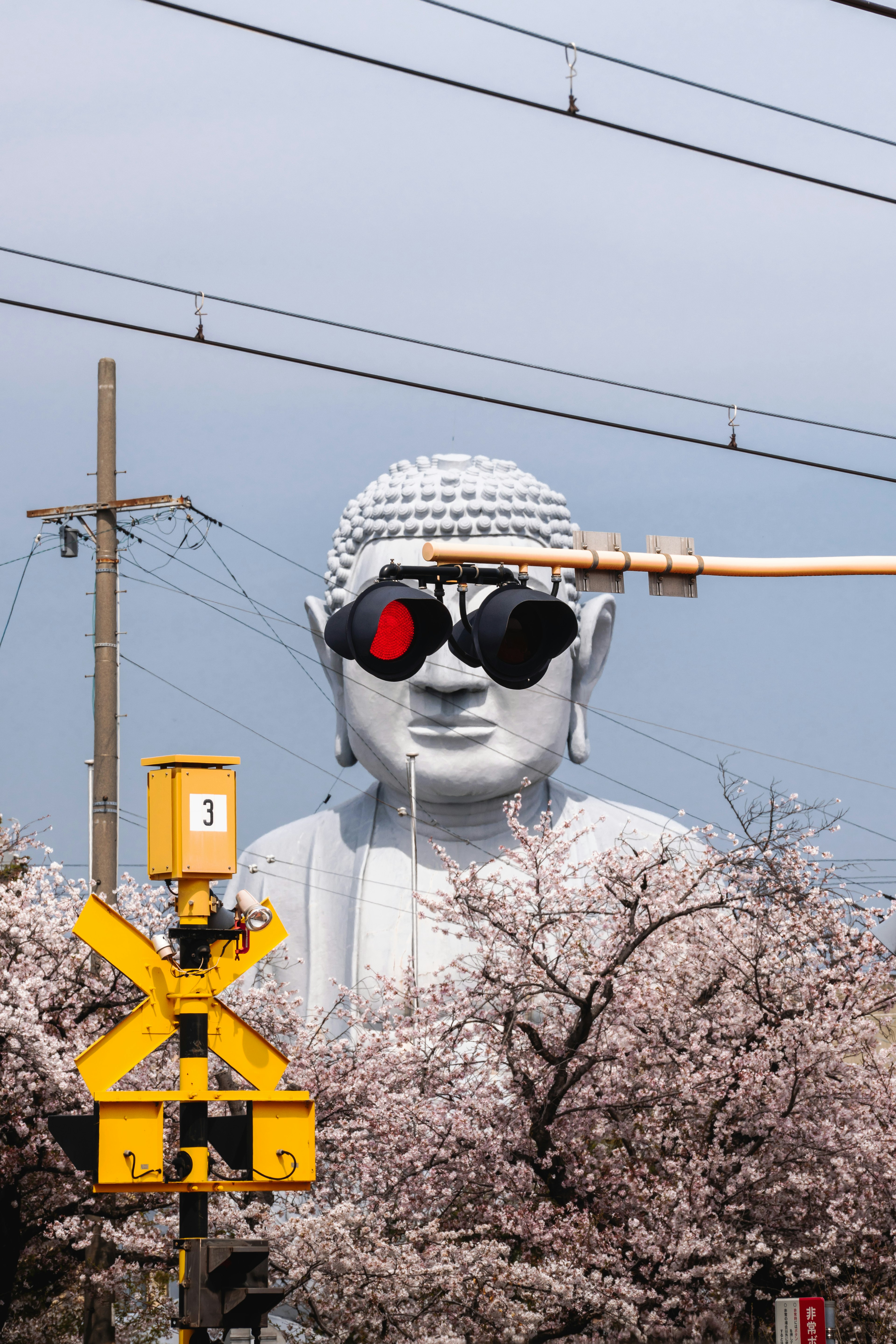 Giant Buddha statue wearing sunglasses with cherry blossom trees and traffic light