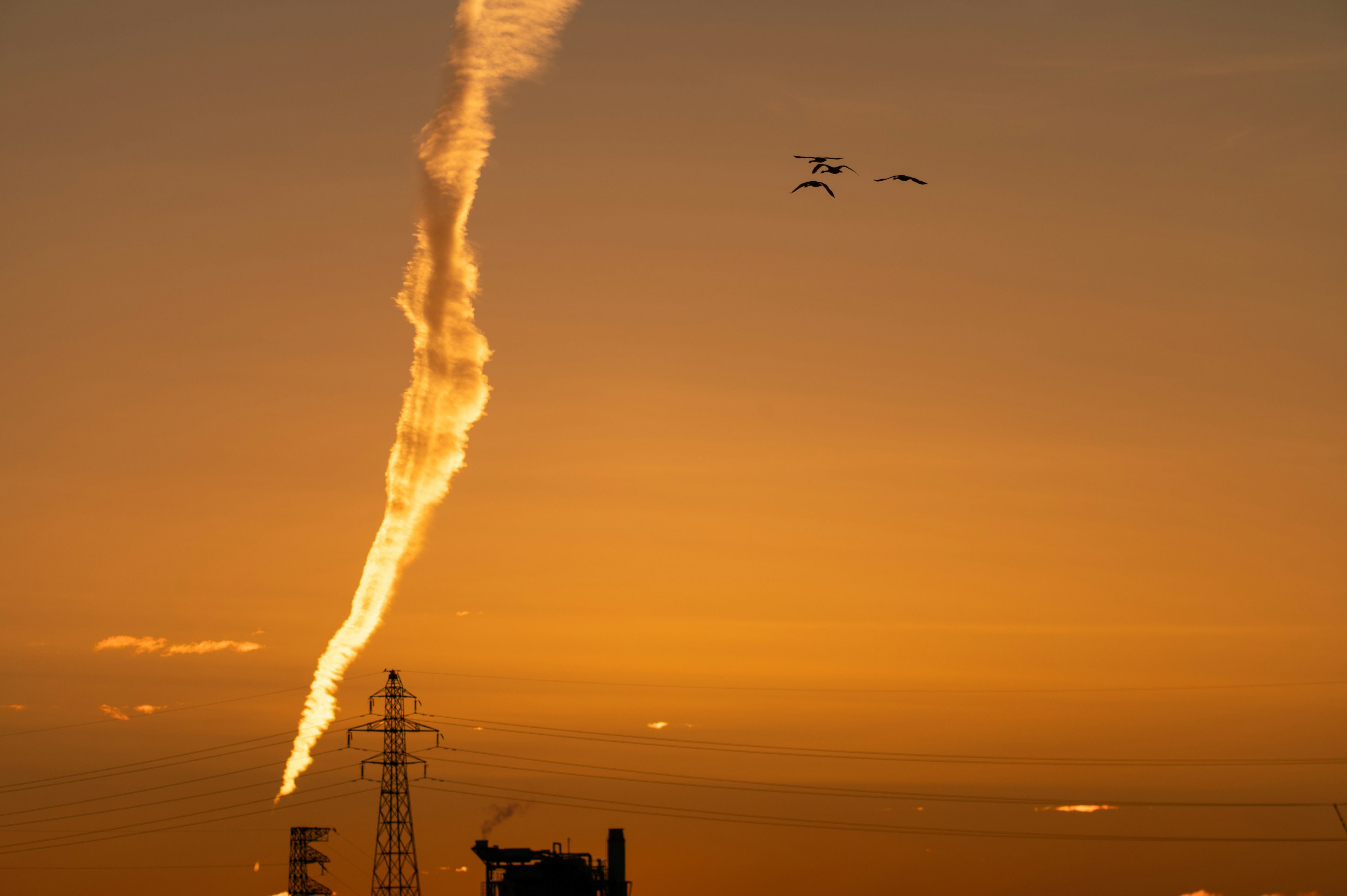 夕焼けの空に煙を上げる工場の煙突と飛ぶ鳥