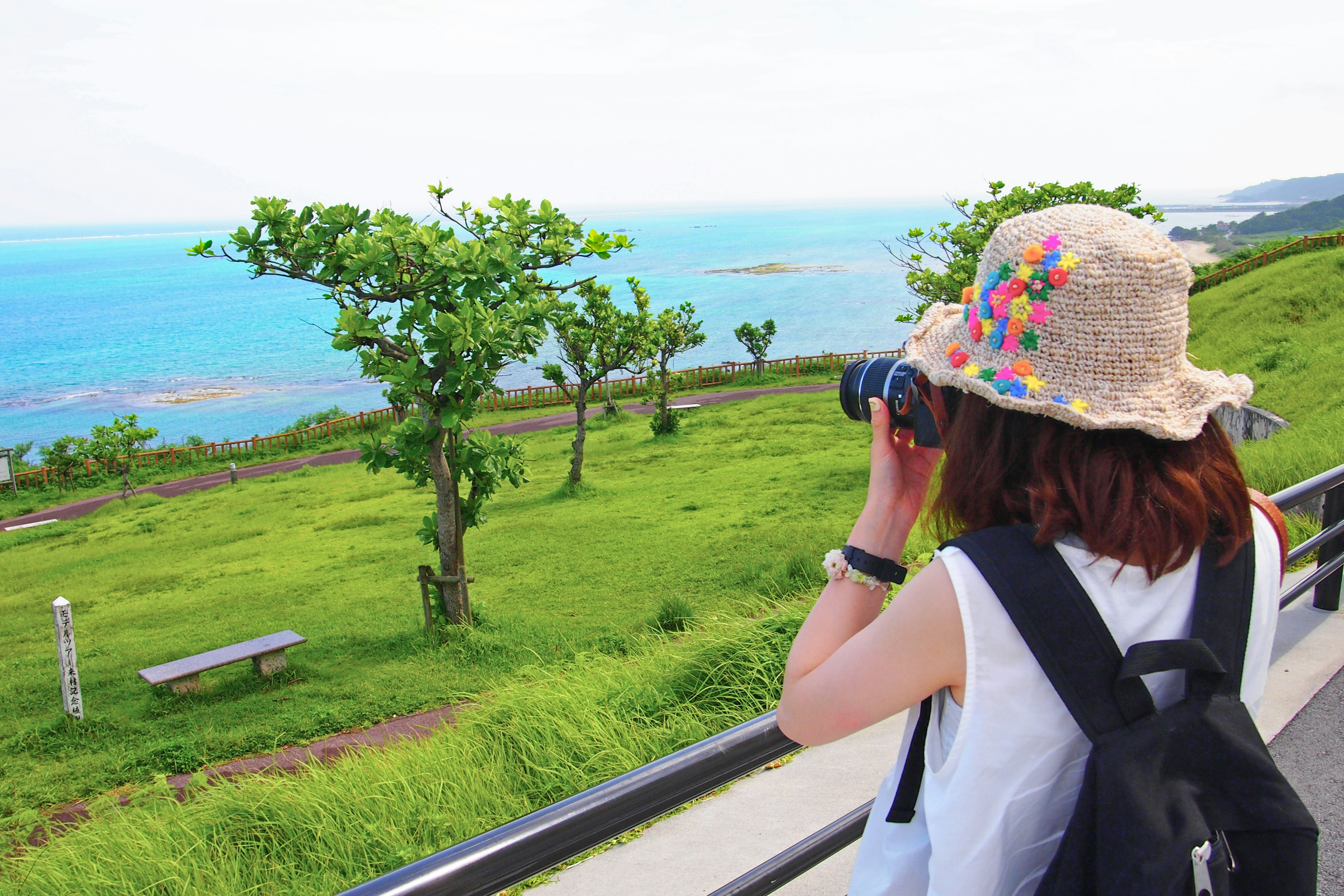 青い海を背景にカメラを構える女性の後姿 緑の草地と木々が広がる風景