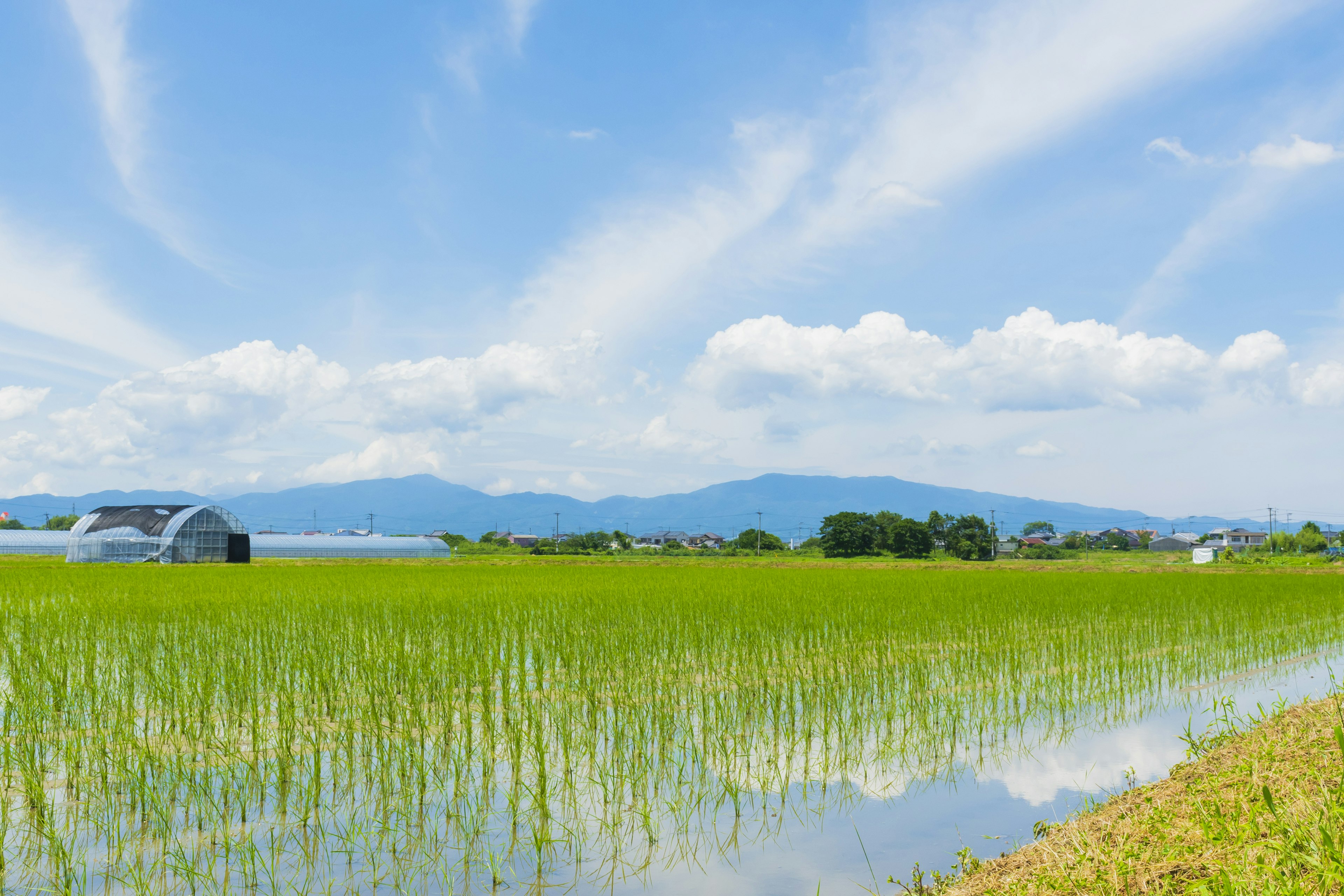 ทุ่งนาสวยงามใต้ท้องฟ้าสีฟ้าพร้อมภูเขาในพื้นหลัง