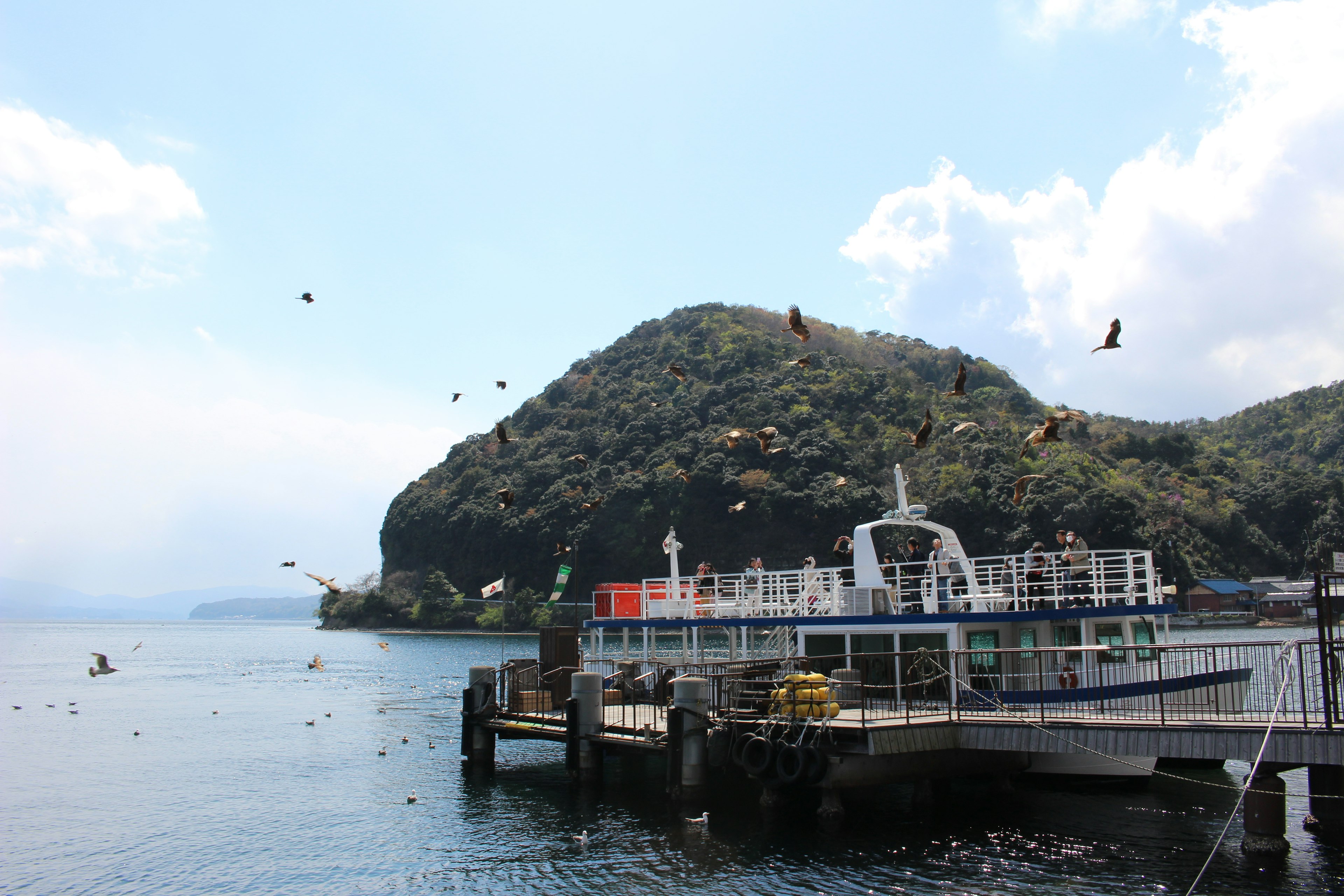 Ferry ormeggiato a un molo con una montagna verde sullo sfondo