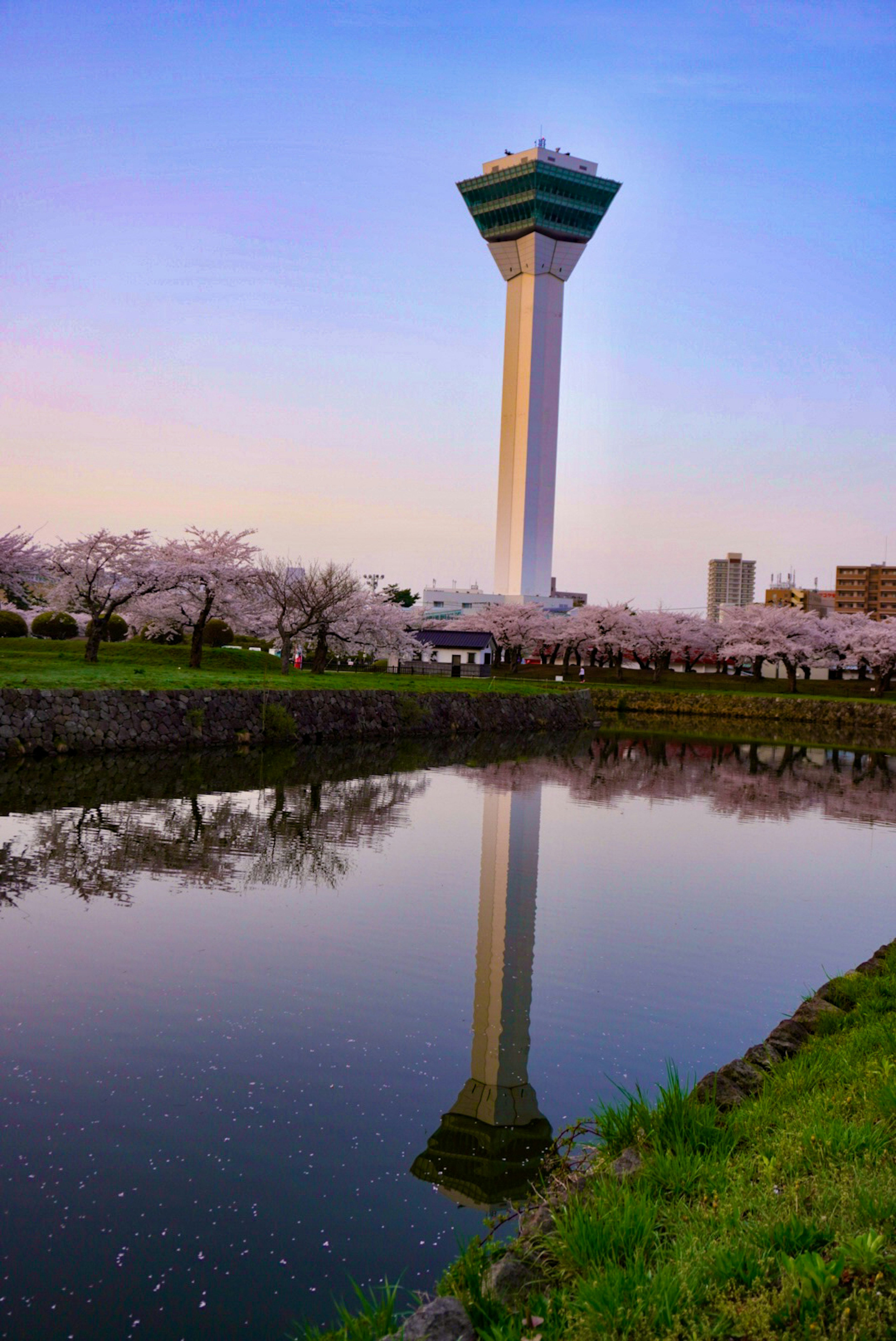 Beautiful view of a tower reflected in the water with cherry blossoms