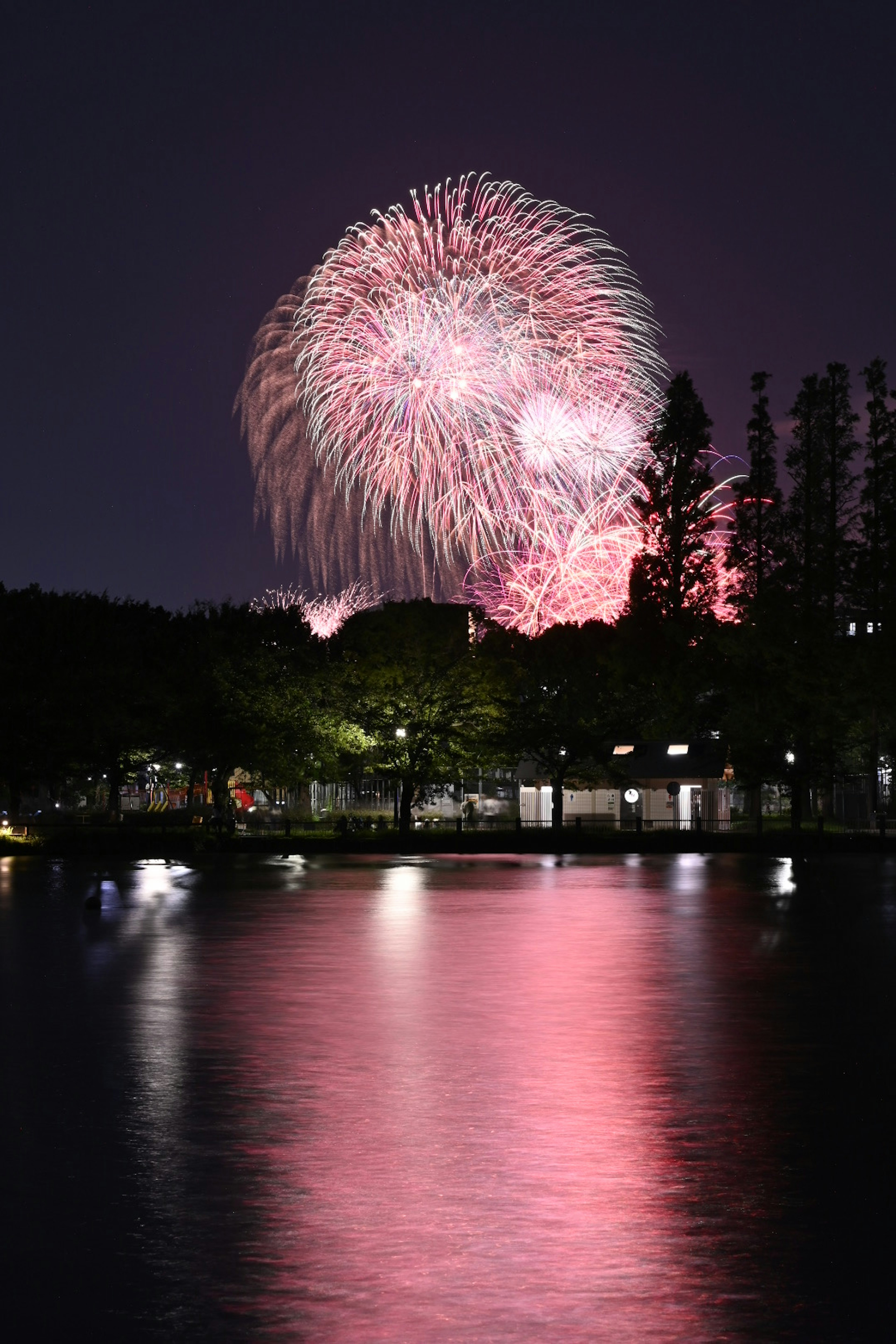 Fuegos artificiales iluminando el cielo nocturno reflejándose en la superficie de un lago