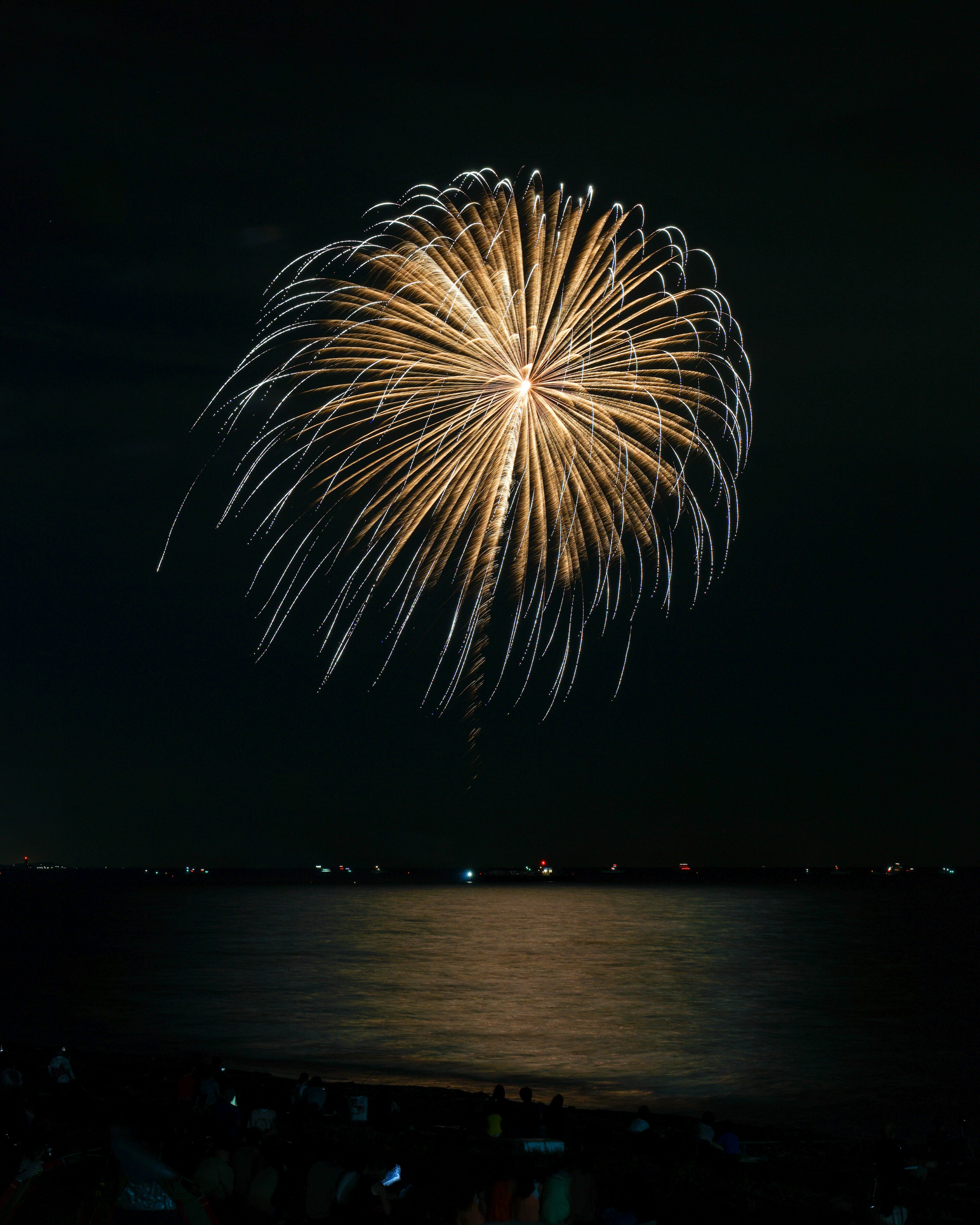 Fuochi d'artificio dorati che esplodono nel cielo notturno con riflesso sull'acqua