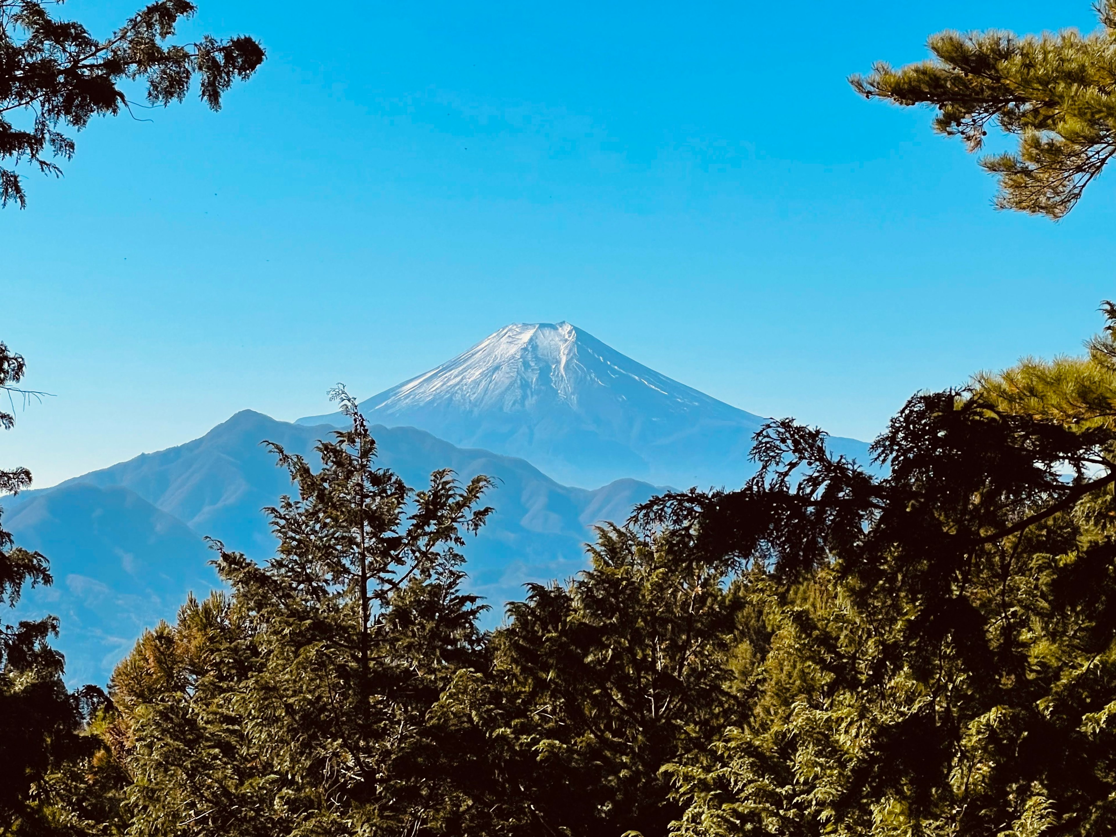 雪をかぶった山と青い空の風景