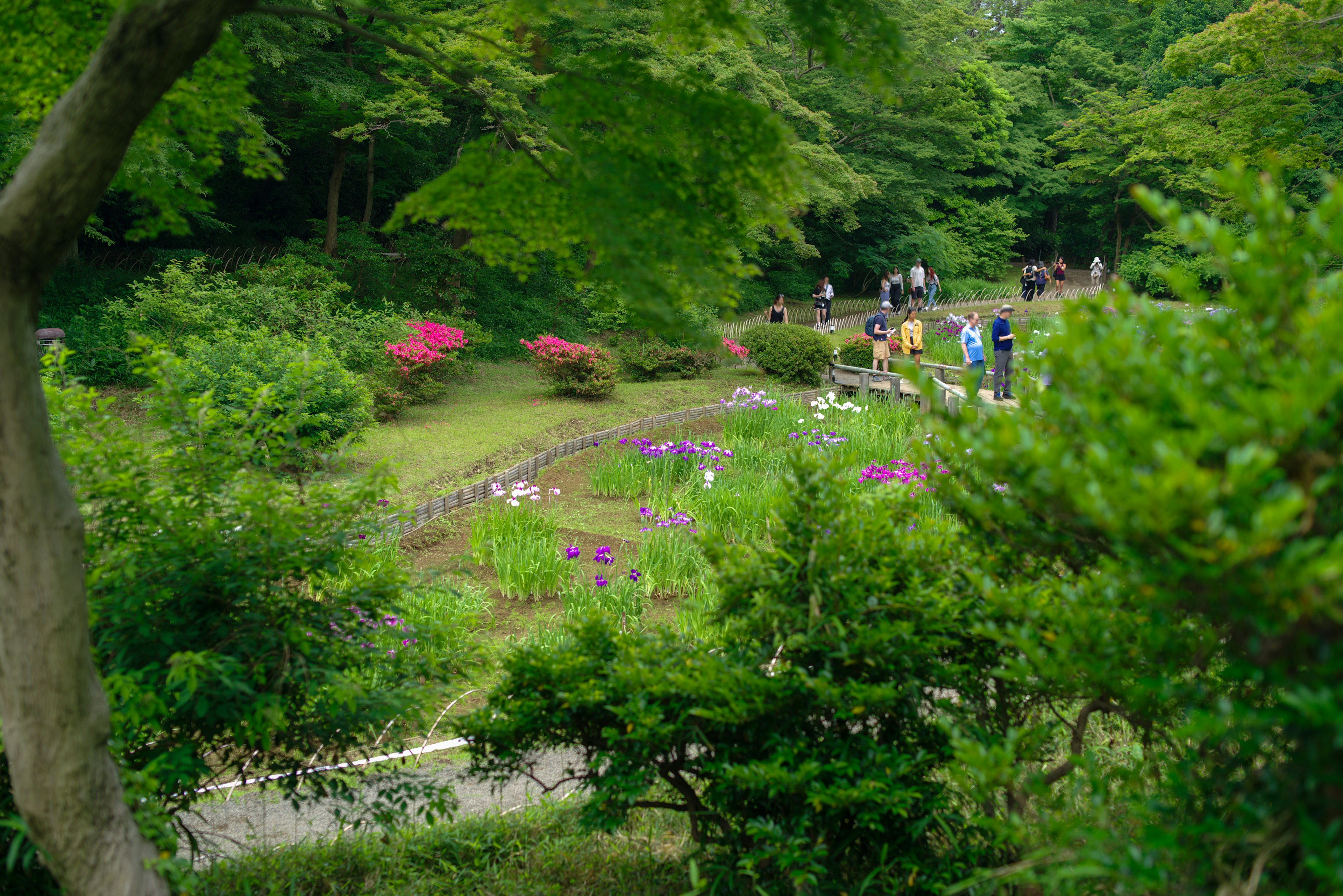 Paisaje de parque exuberante con flores en flor y personas paseando