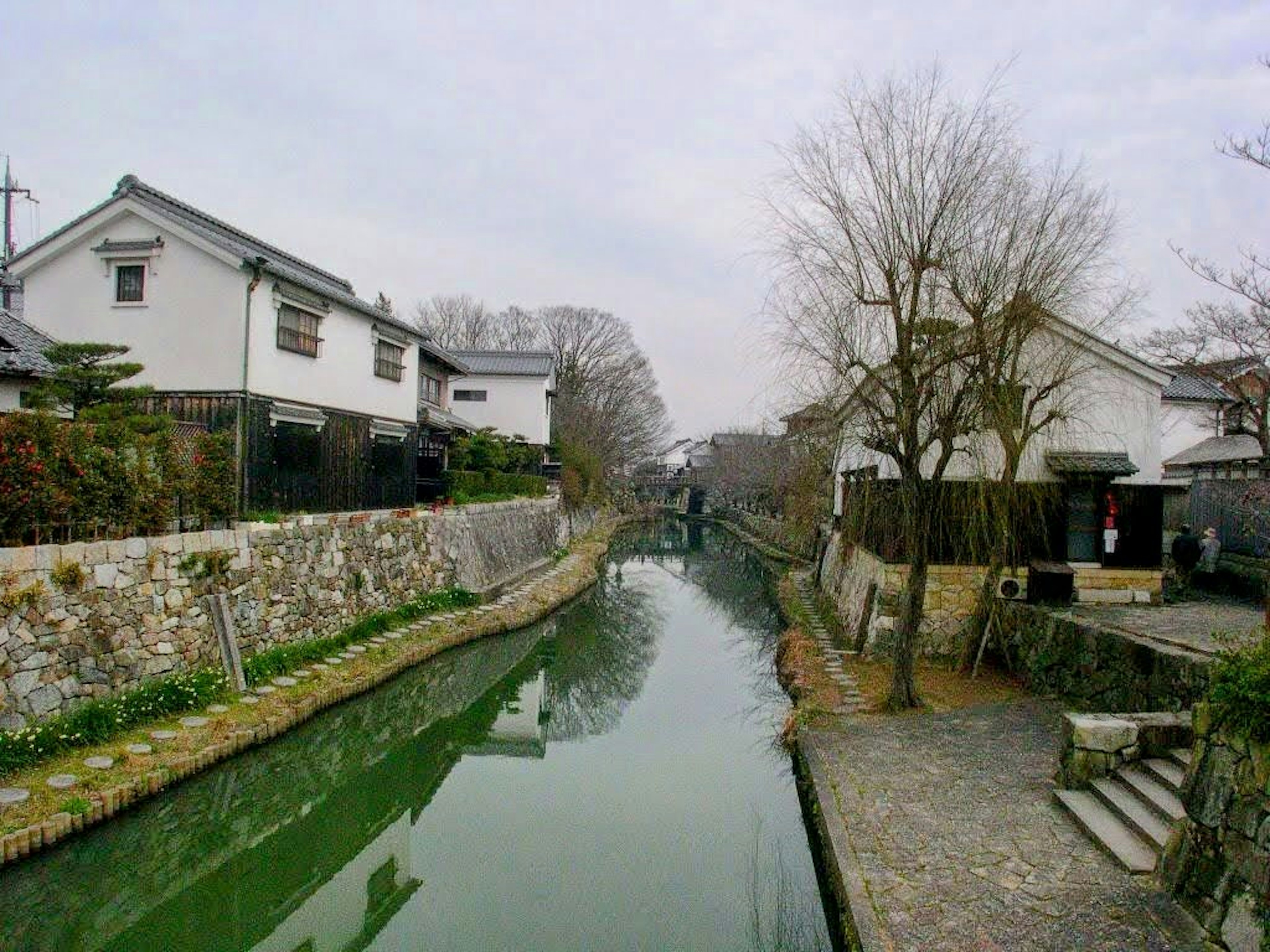 静かな川沿いの風景 古い白い家々と木々が並ぶ