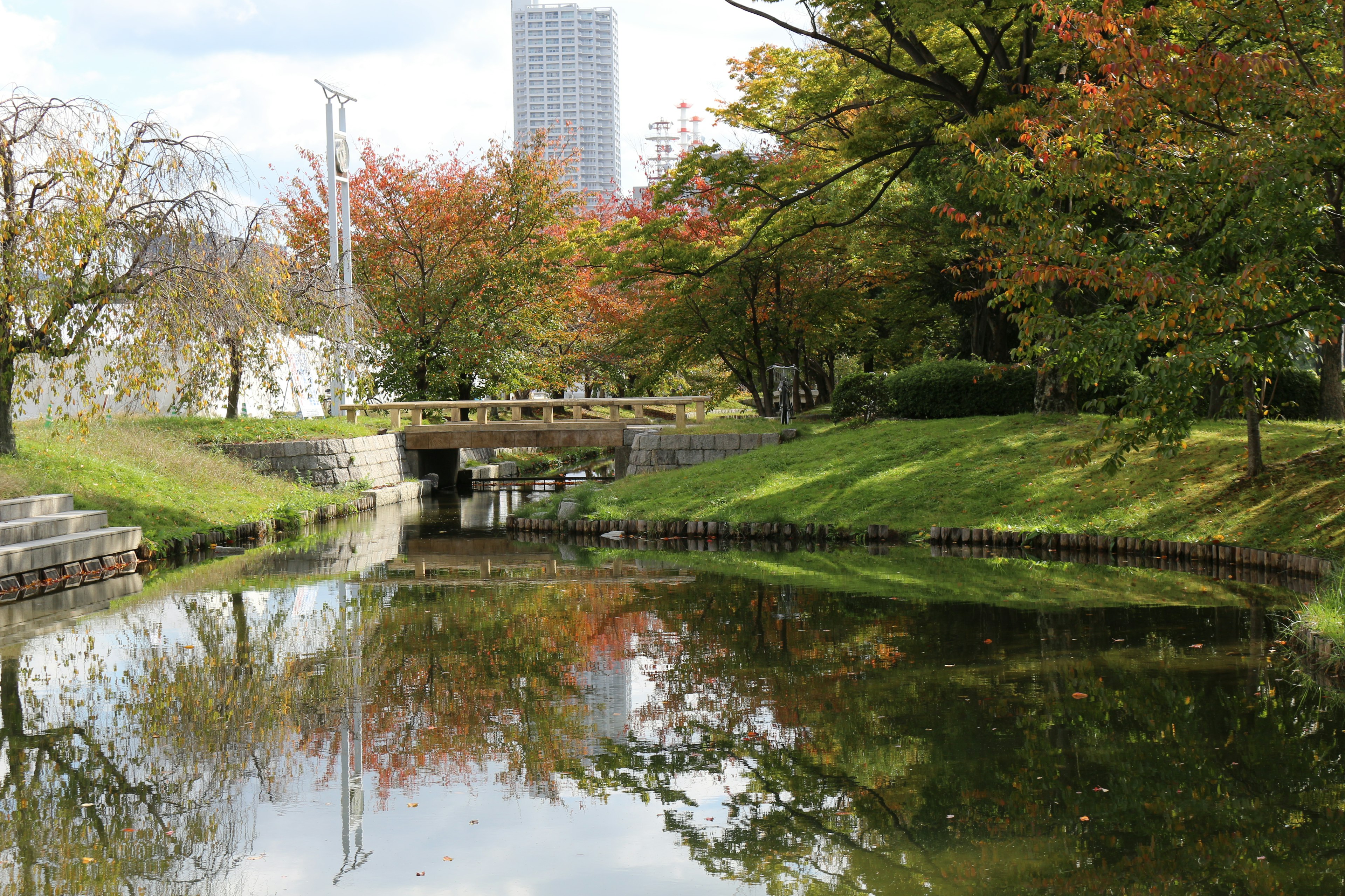 Follaje de otoño reflejándose en un tranquilo estanque del parque con un edificio moderno al fondo