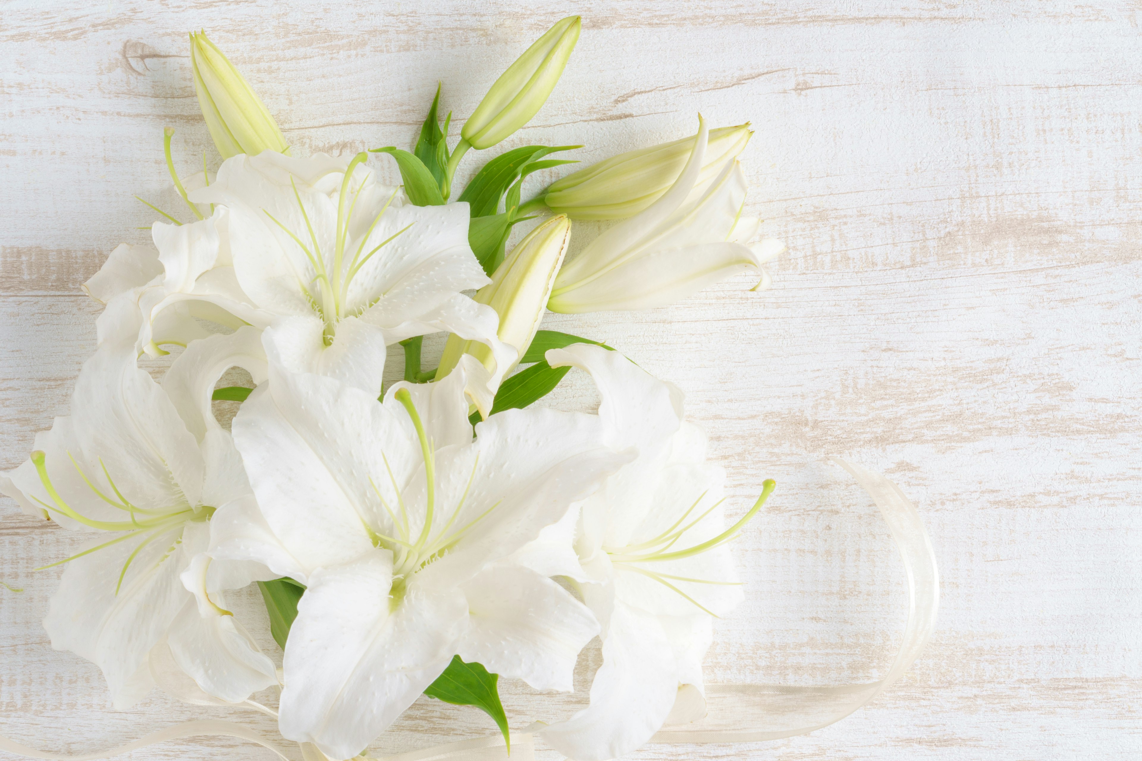 Un bouquet di fiori bianchi e gemme disposto su uno sfondo in legno bianco