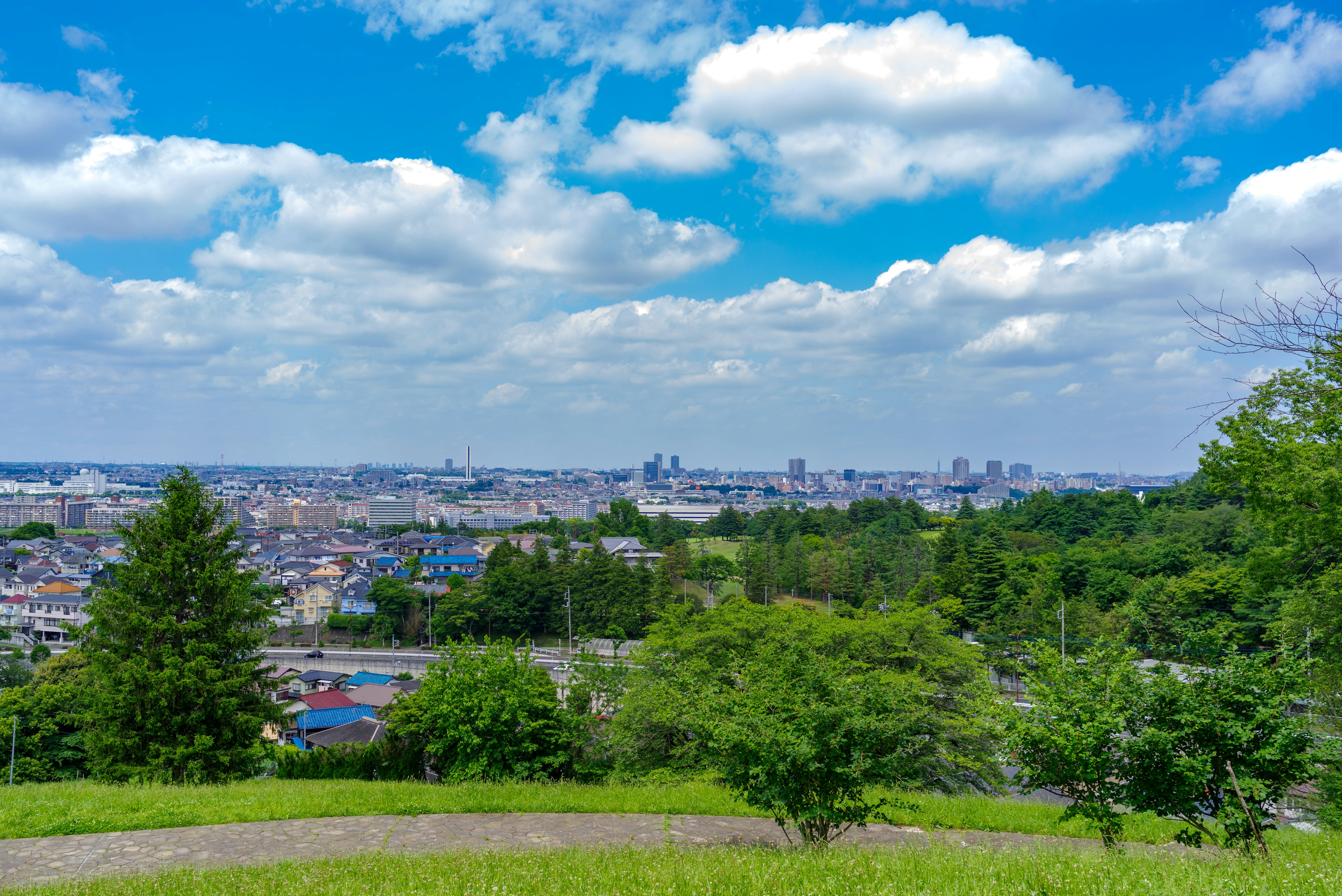 A green hill with a view of a city skyline under a blue sky with white clouds