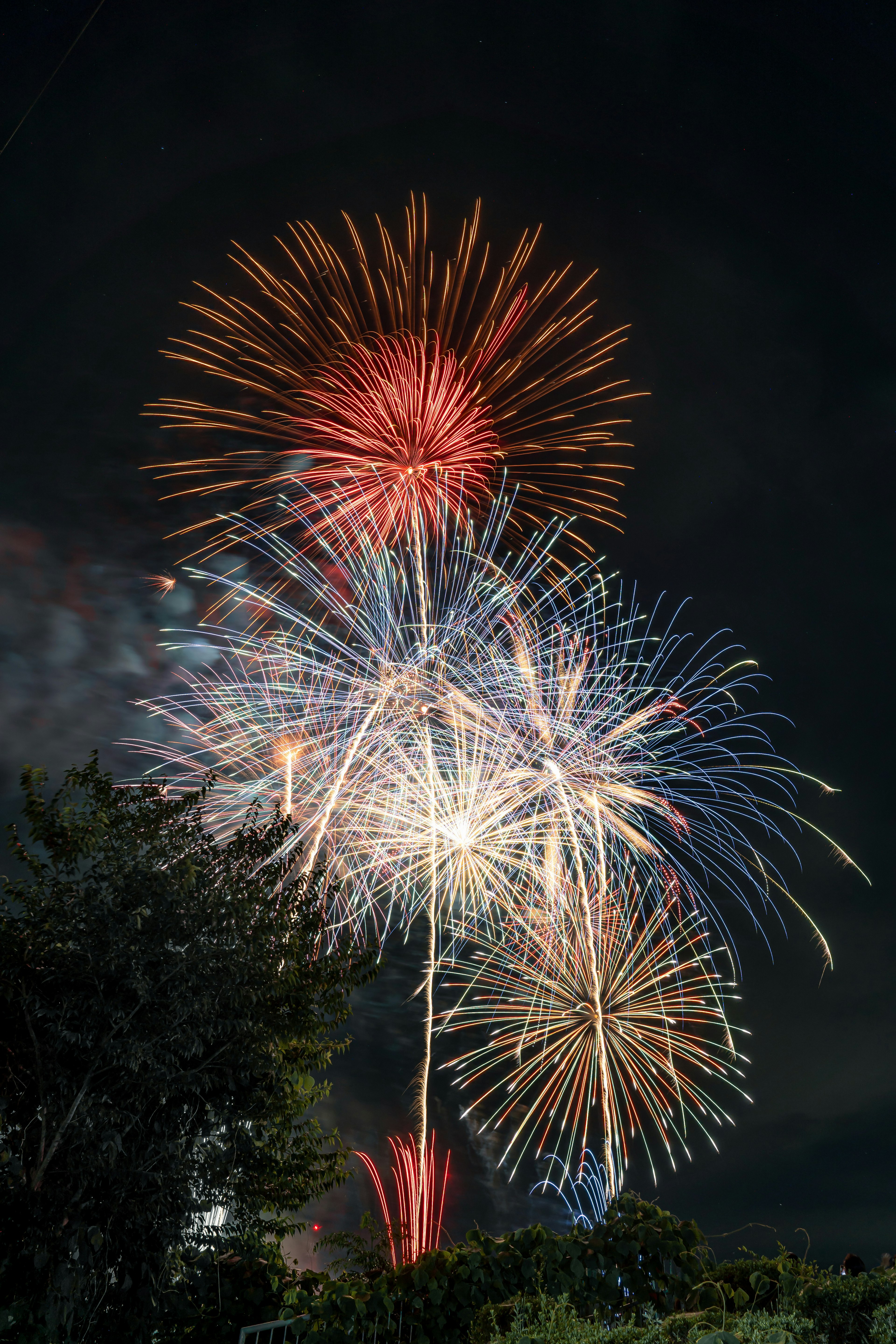 夜空に輝くカラフルな花火が打ち上げられている