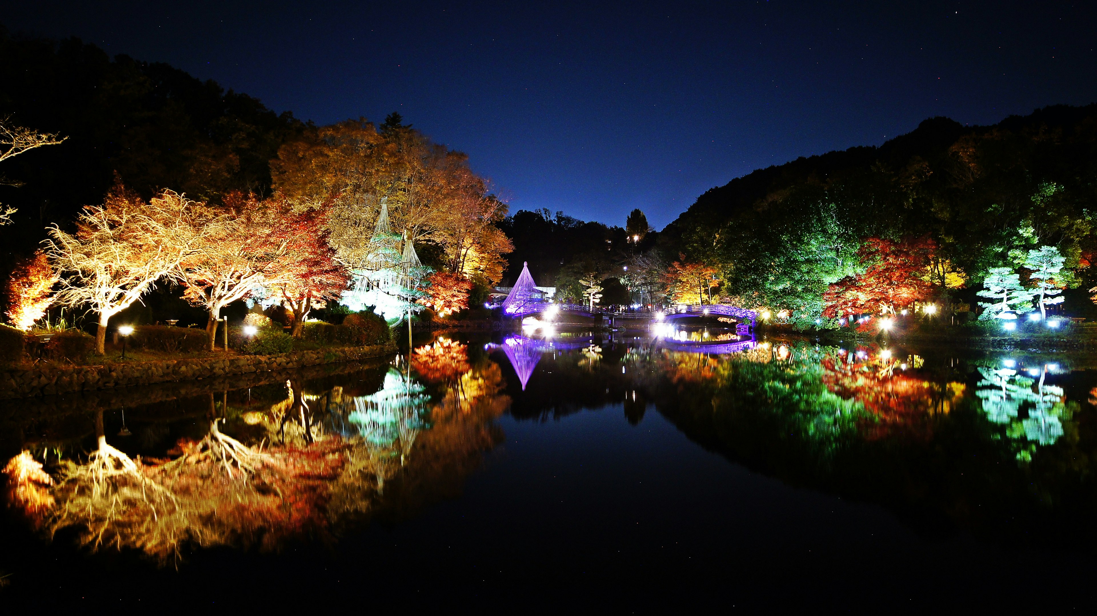 Foglie autunnali colorate e luci riflesse su un lago di notte