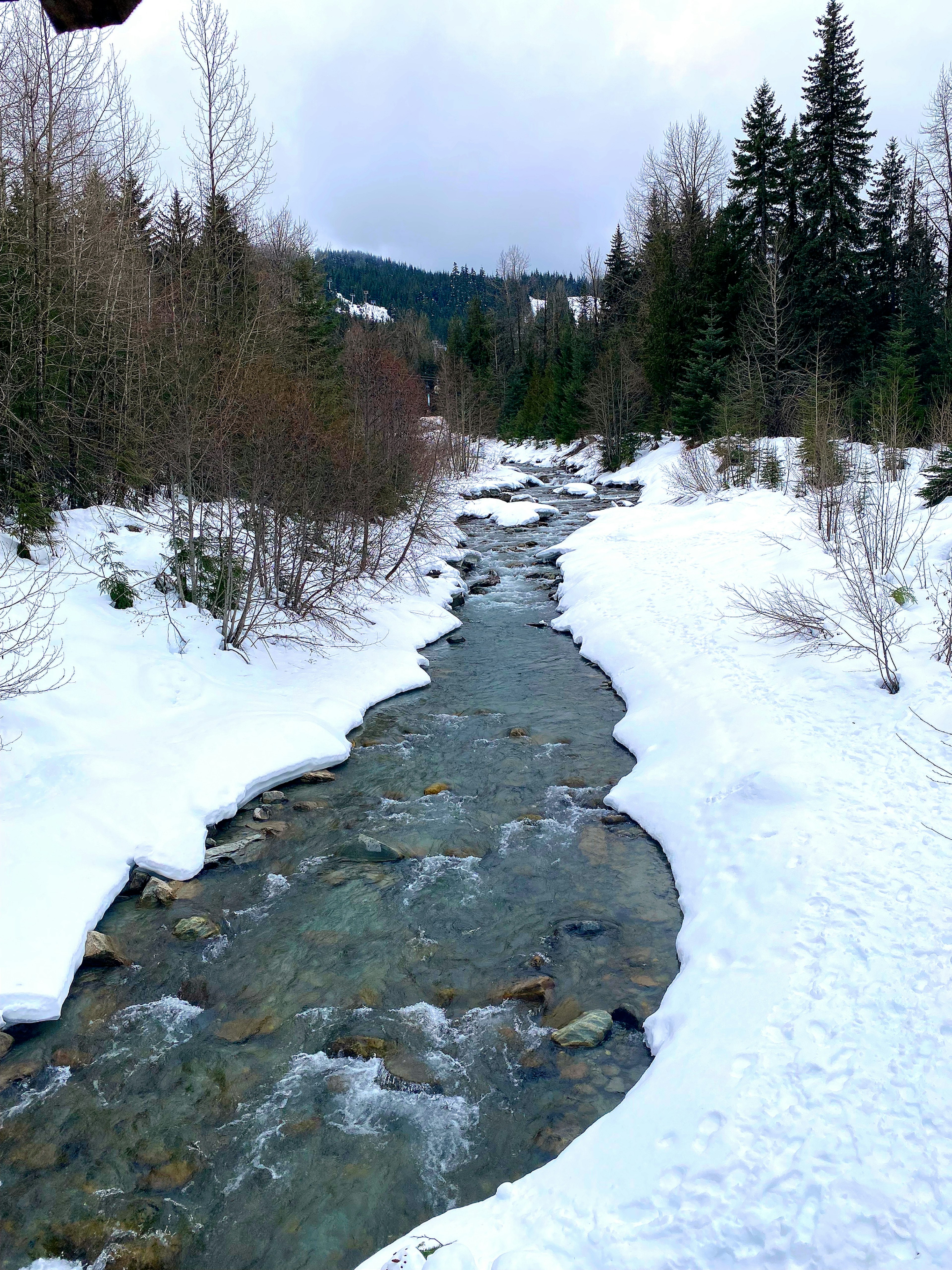 Paesaggio di fiume coperto di neve con alberi lungo le rive e acqua fredda che scorre