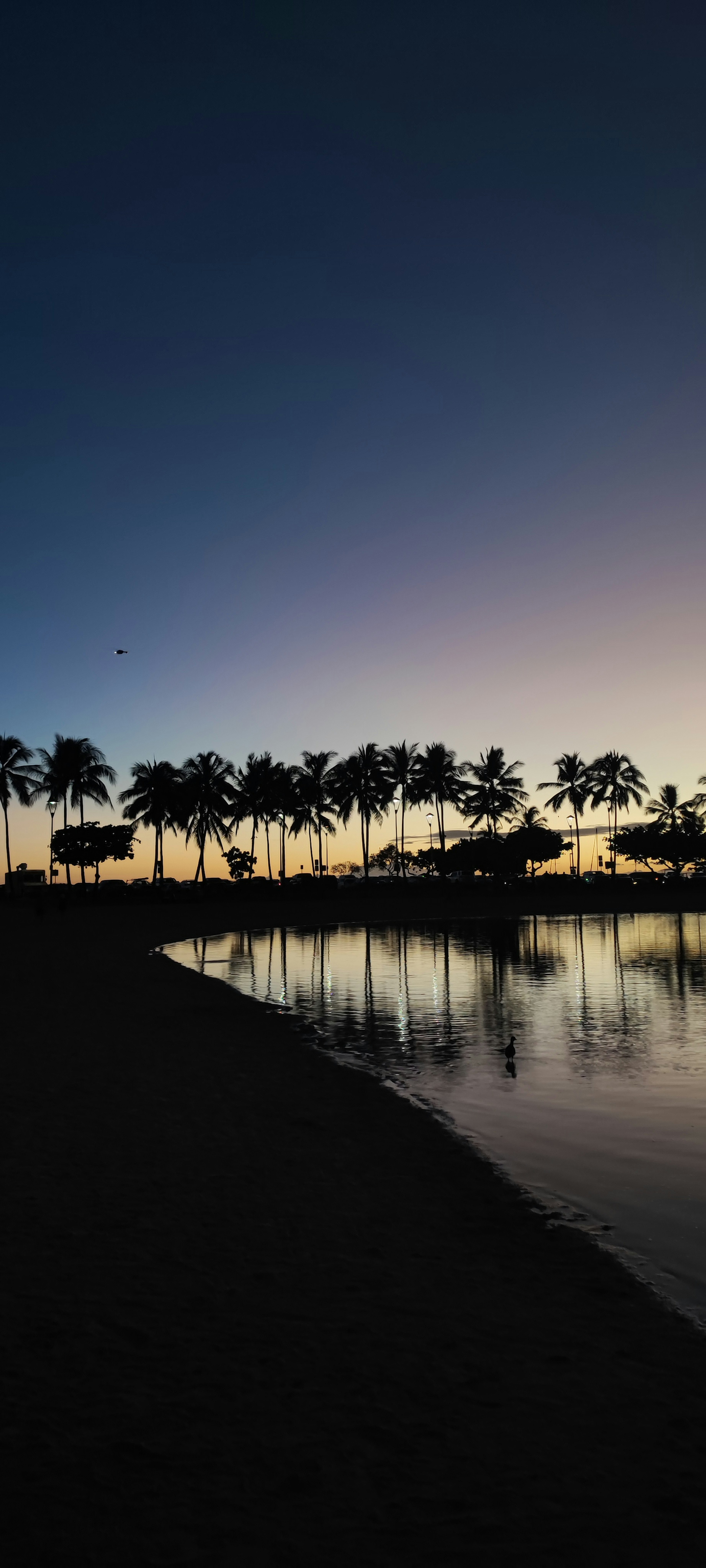 Vue tranquille du coucher de soleil avec des palmiers le long du rivage