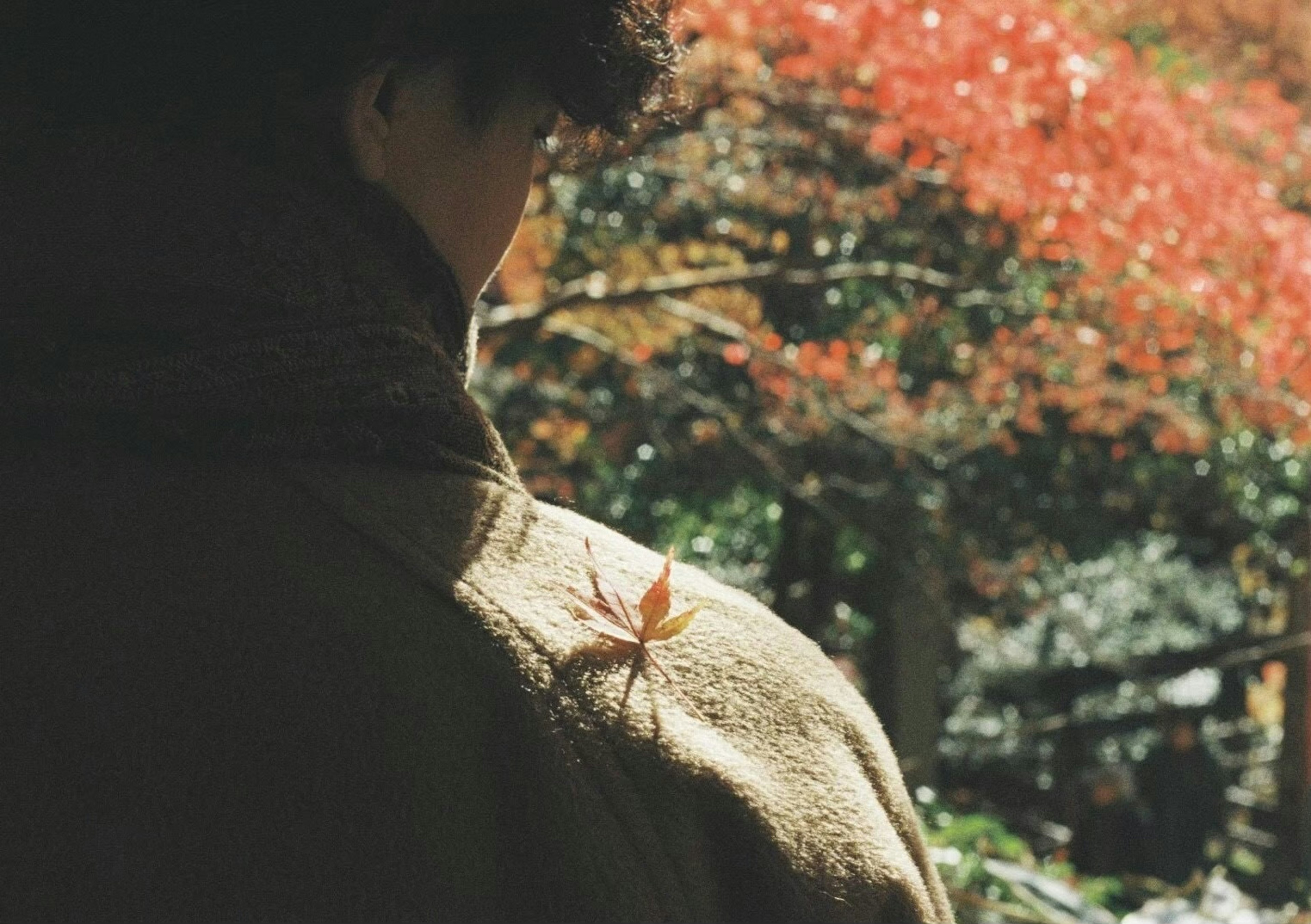 Person with a small autumn leaf on their back against a backdrop of fall foliage